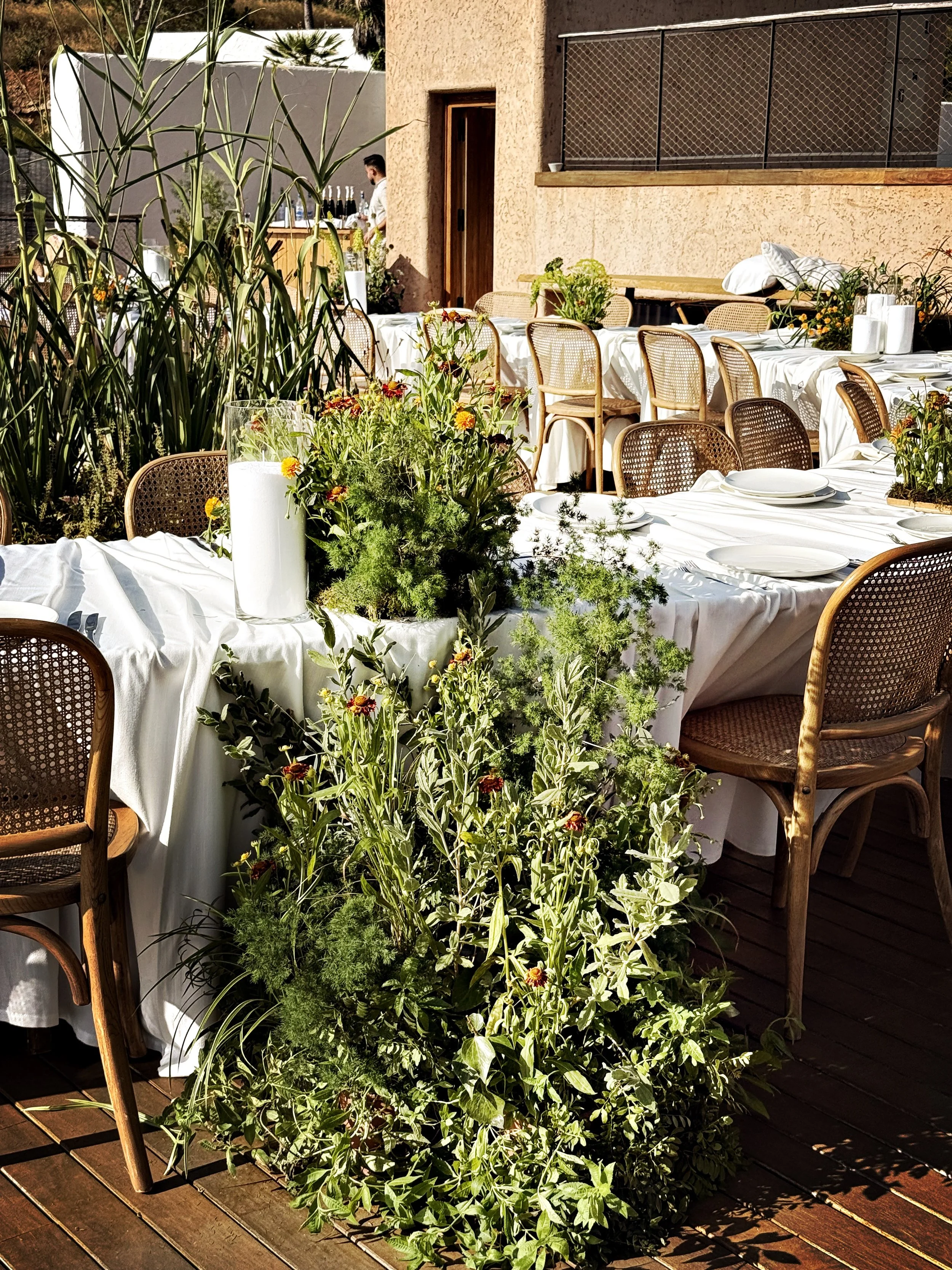 CASABLANCA DINNER.  Six Senses. Ibiza