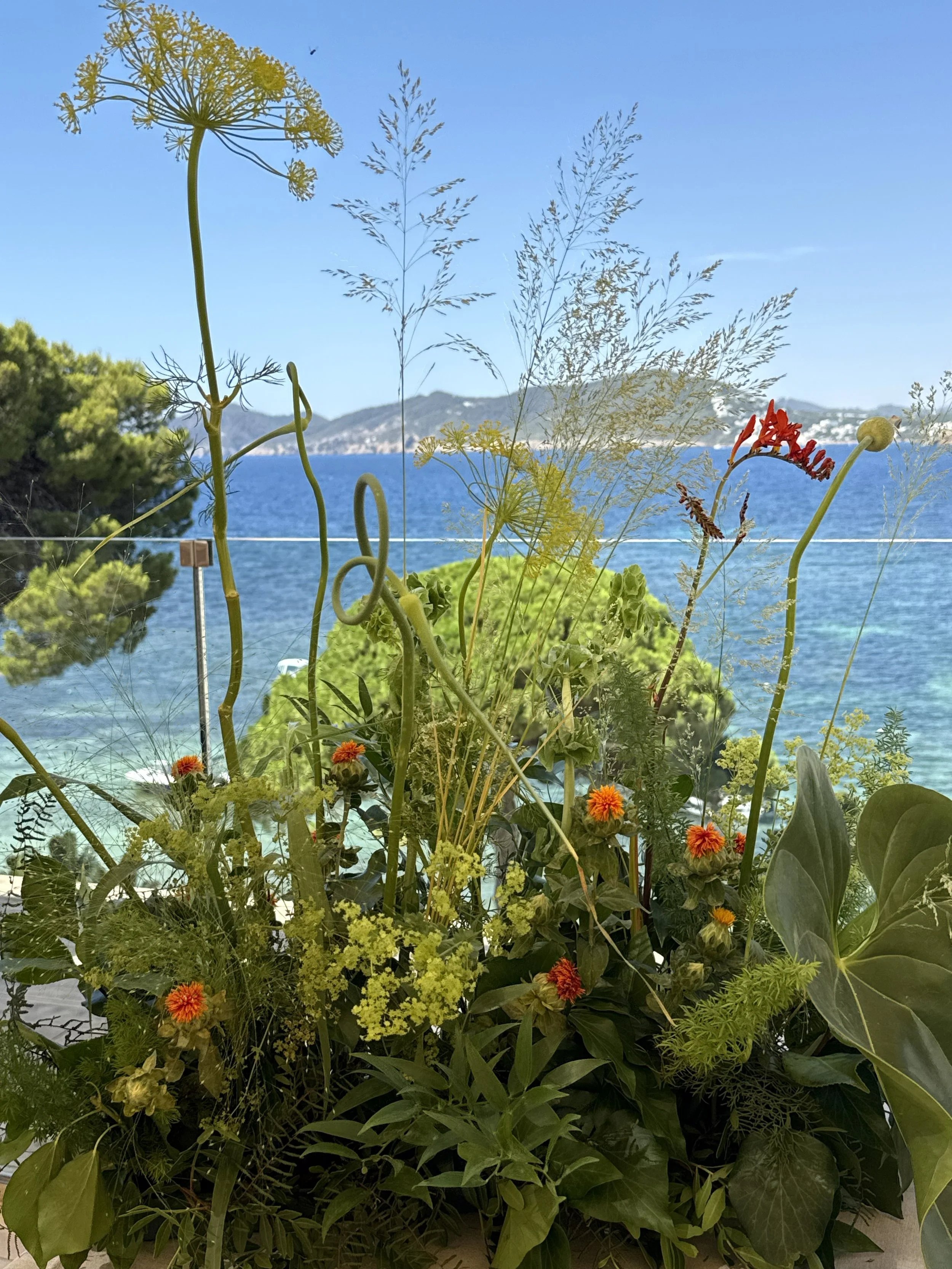 NEKOHAMA LUNCH. Me Hotel . Ibiza