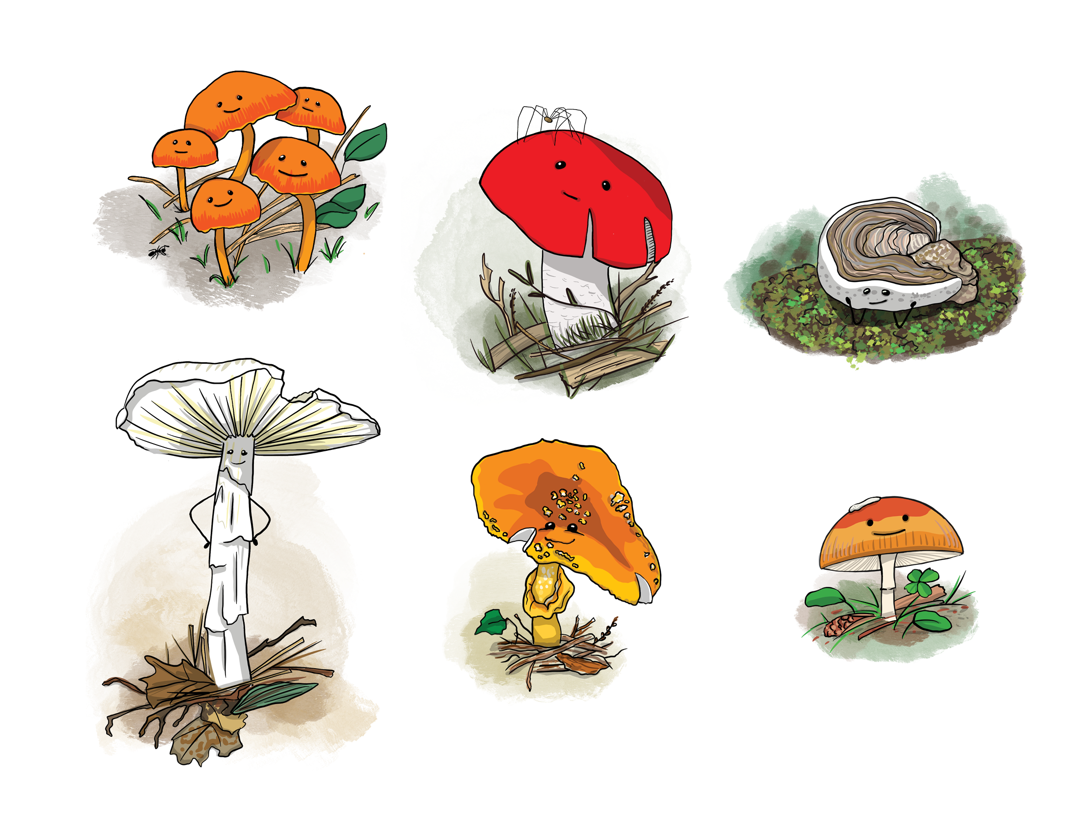 mushrooms.png
