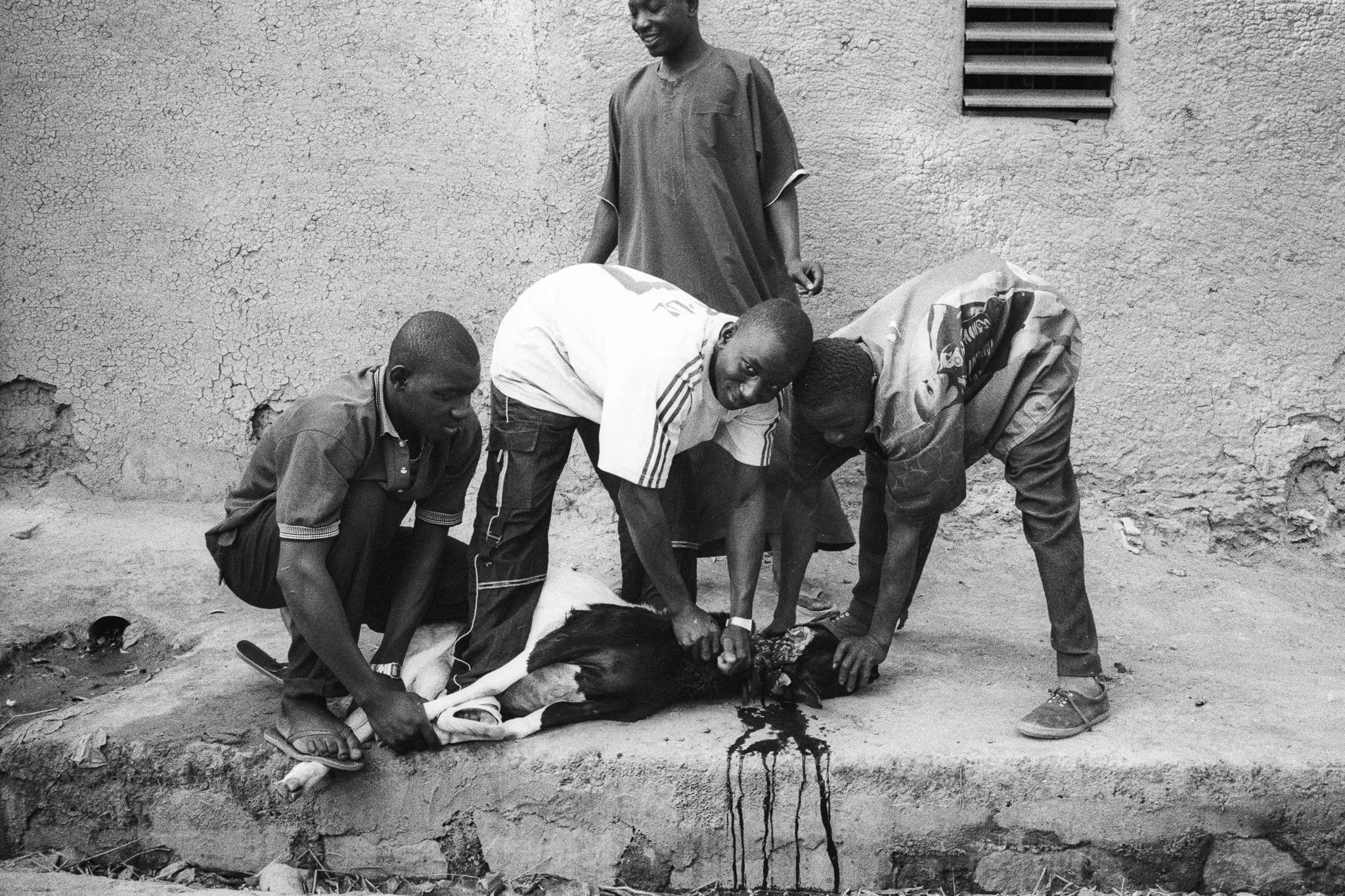 Malimouton mopti.jpg