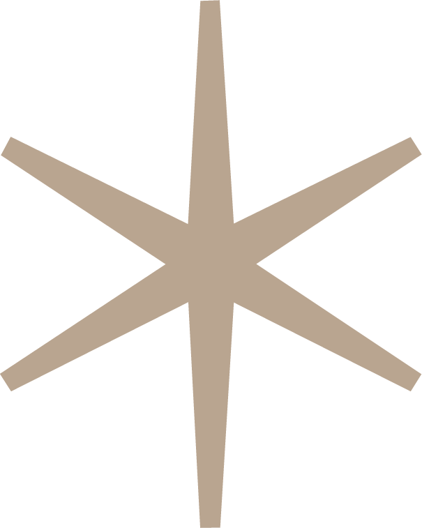 A beige starfish with five arms on a plain background.