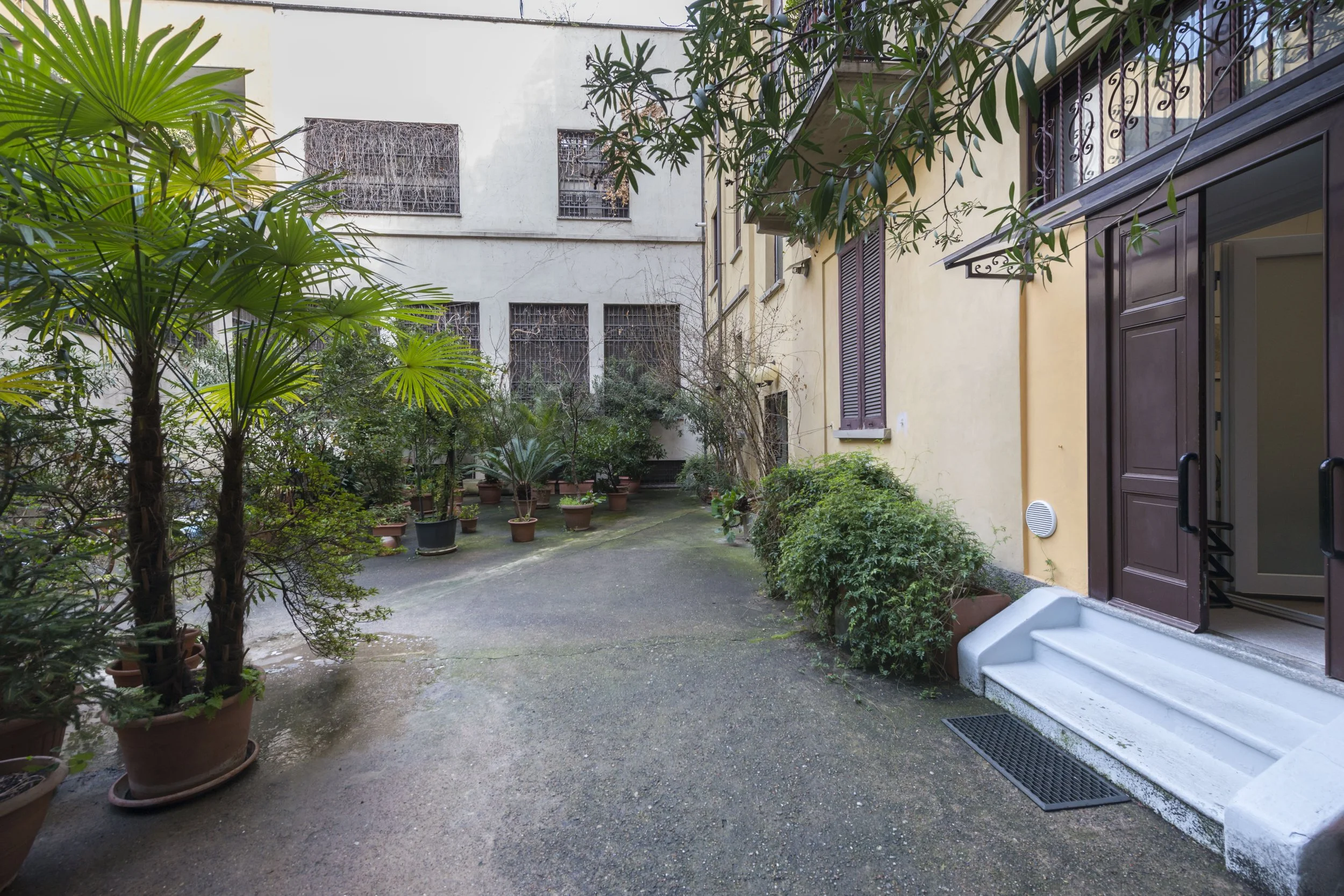 City courtyard with potted plants and a yellow building with brown shutters and a doorway.