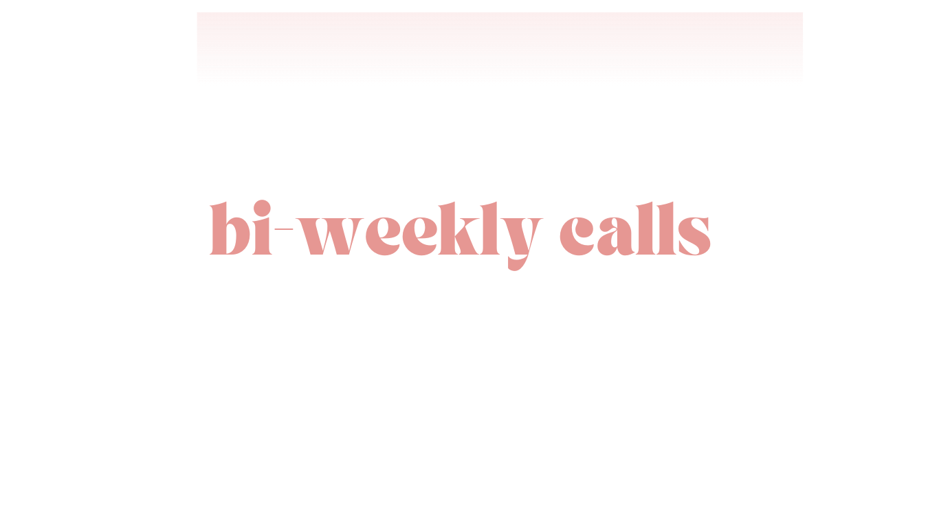 Slide with the title 'bi-weekly calls' in large pink letters over a black background with some pink and white header design elements at the top.