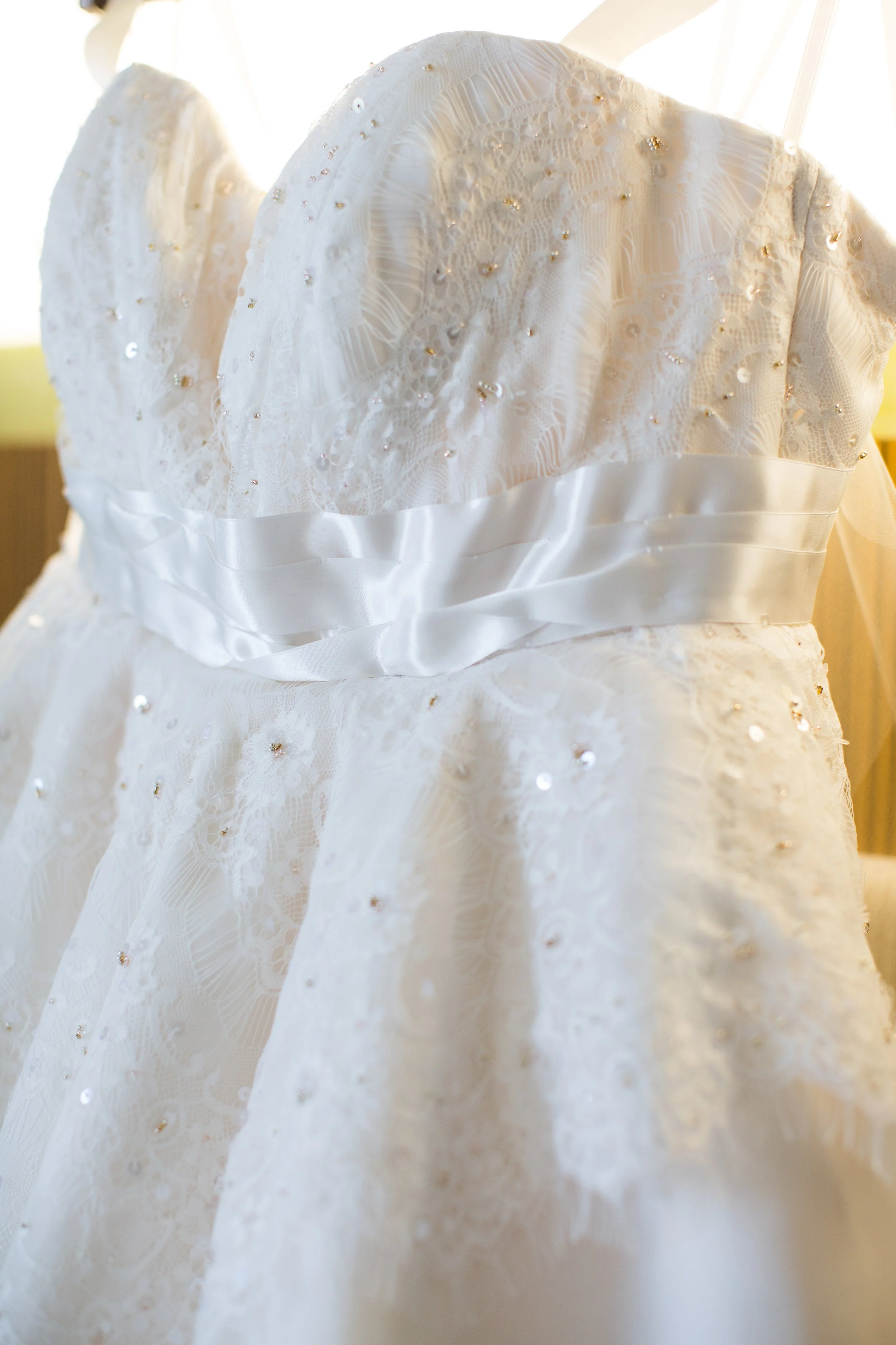 Custom Gown for Milena