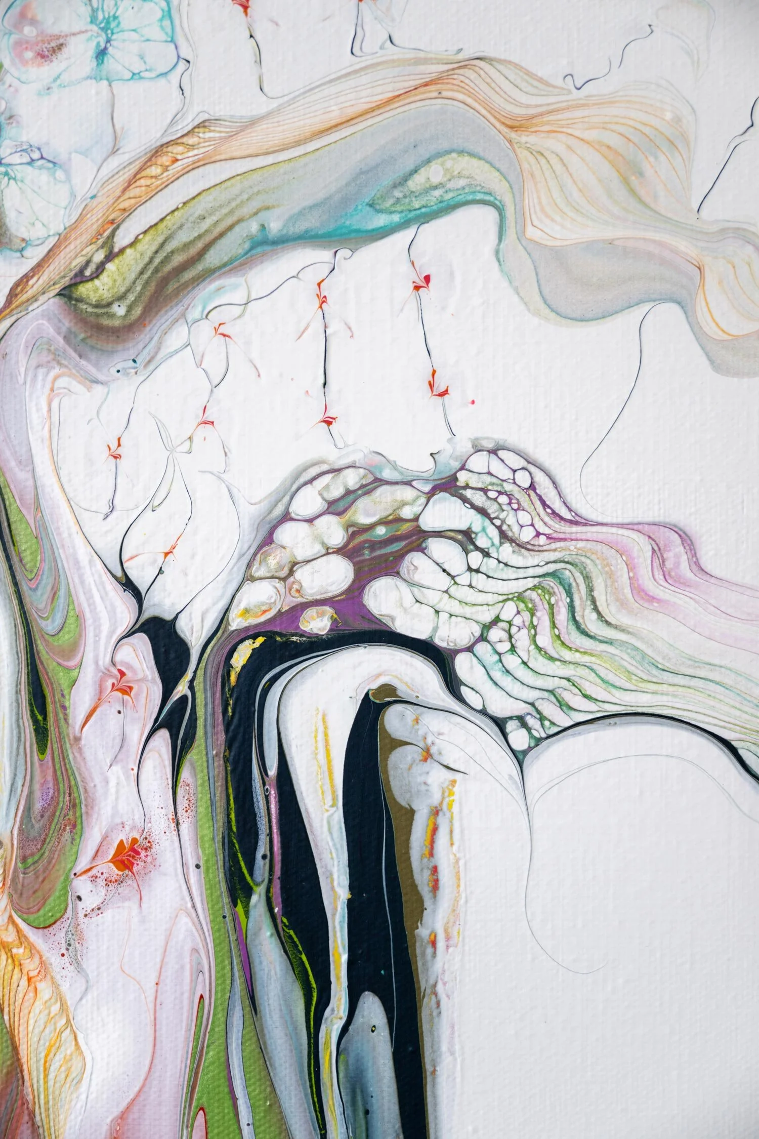 Wild Grace