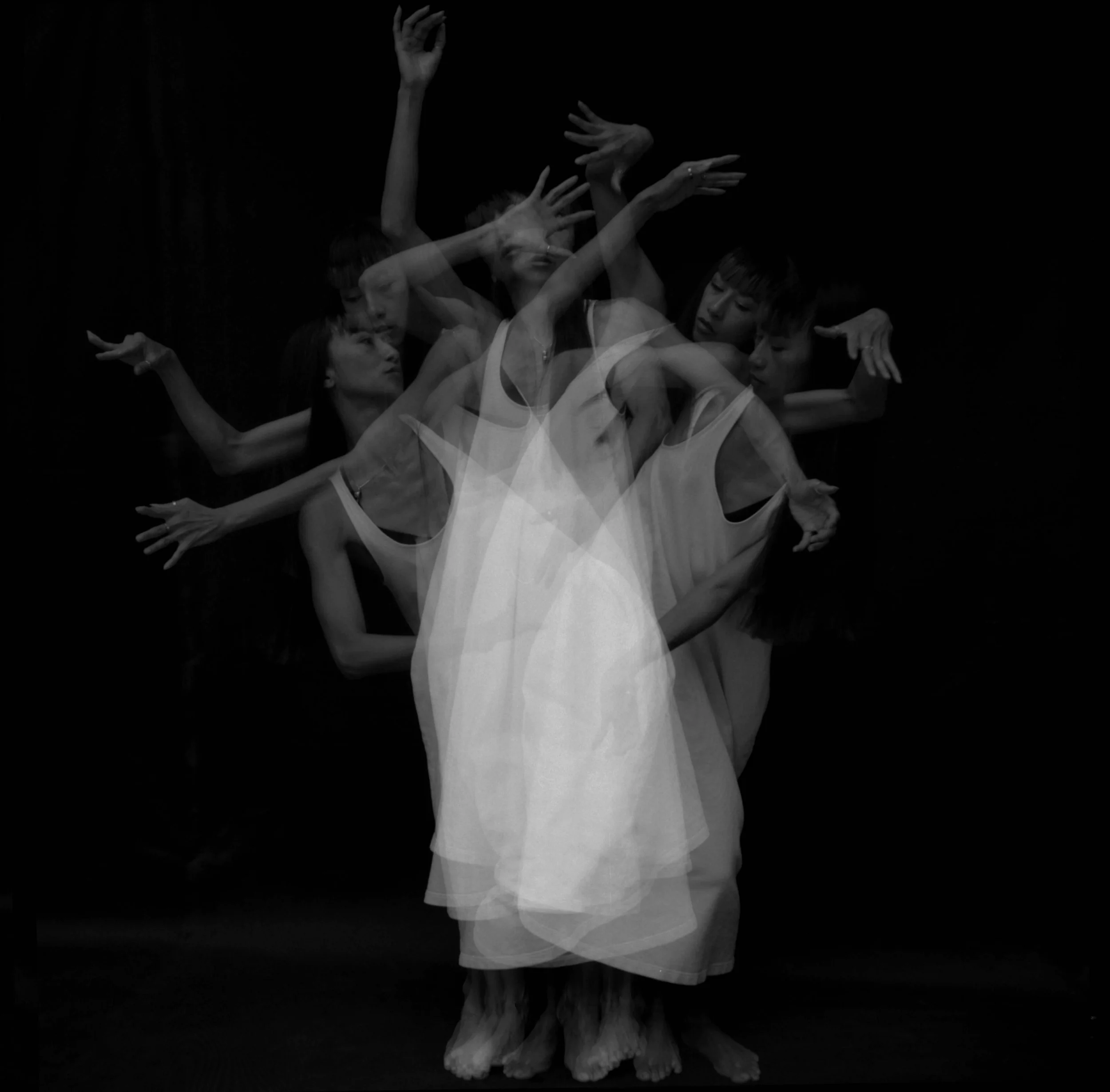 WAWWM - Cat - smaller.jpg