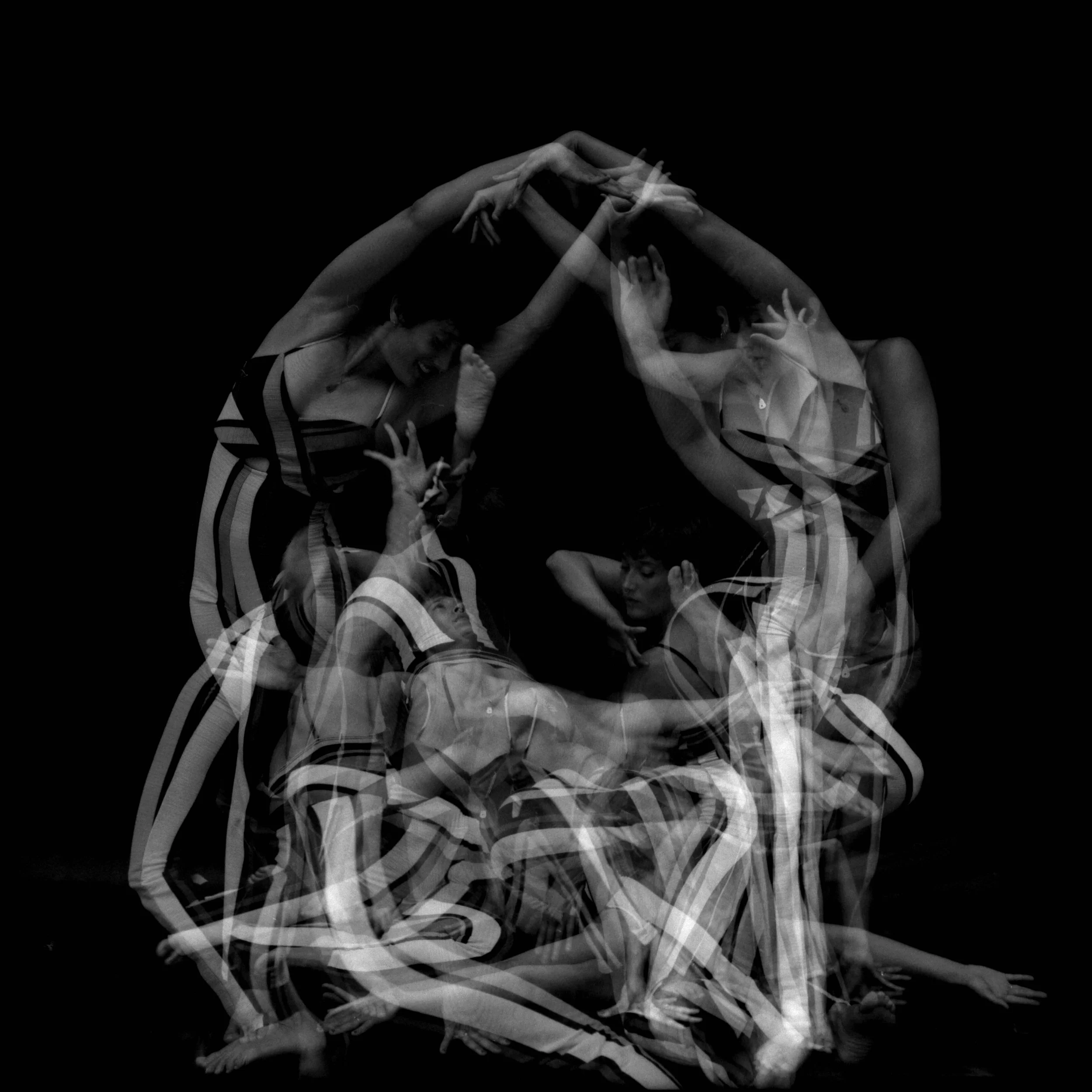 WAWWM - Farrah - smaller.jpg