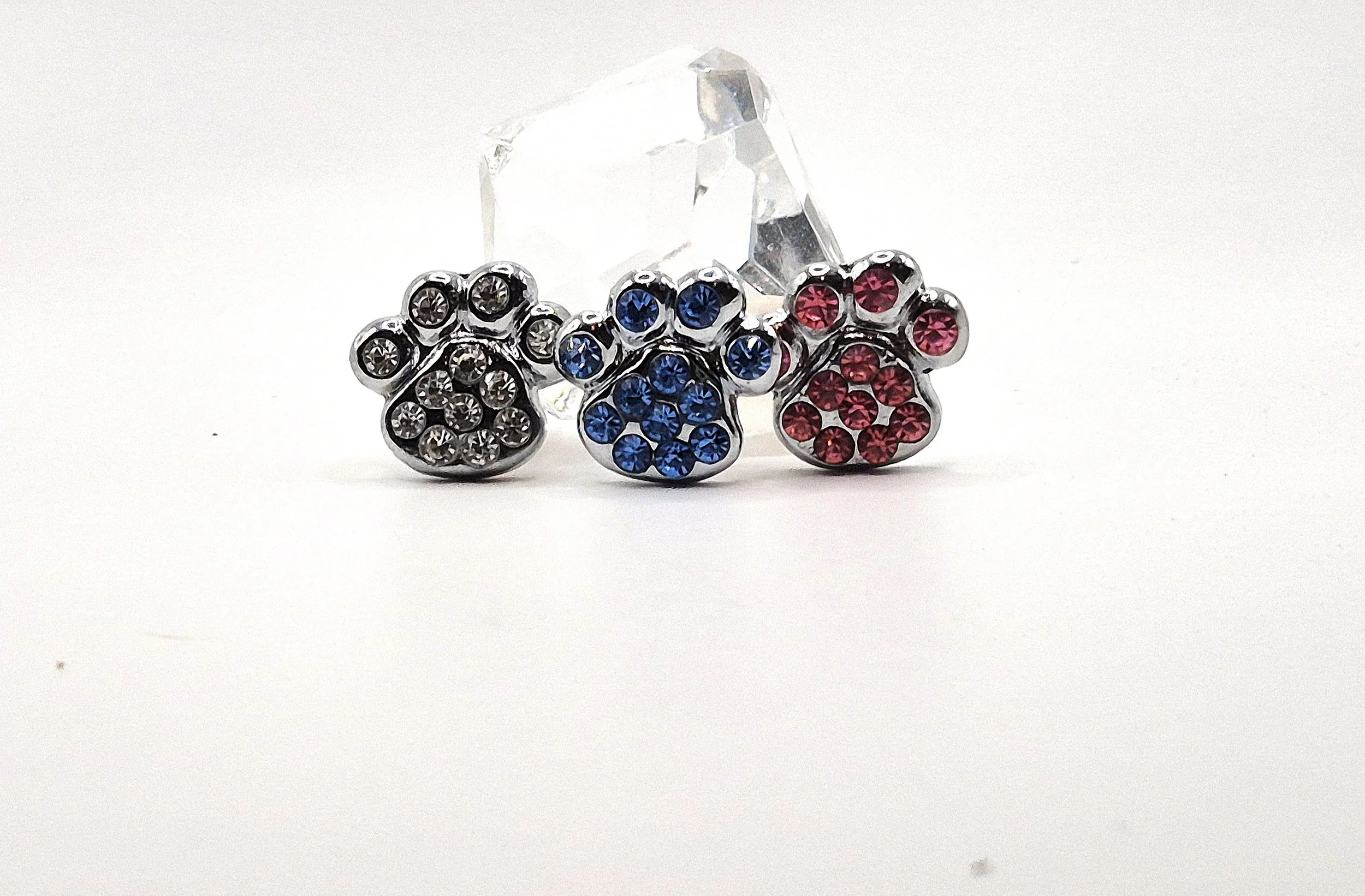 pawprintslidecharms.jpg