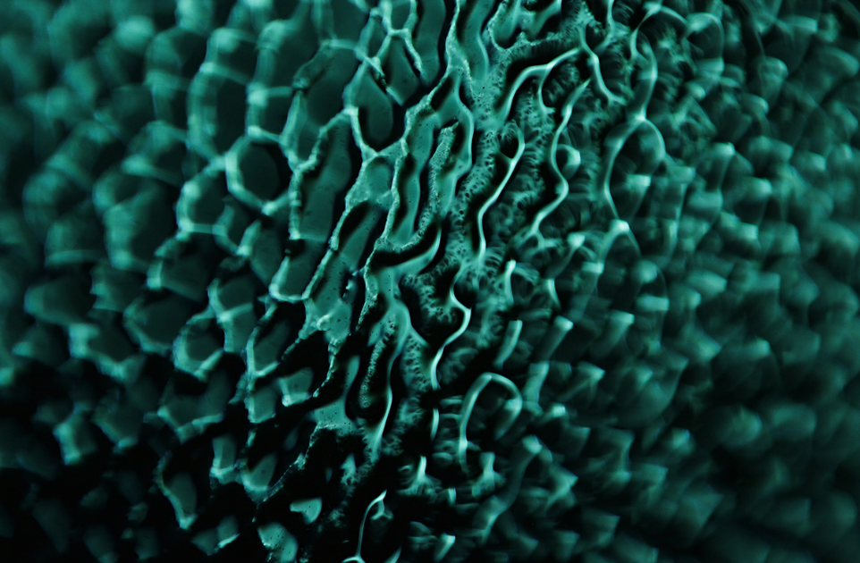 Screenshot 2025-12-26 at 9.57.29 AM.png