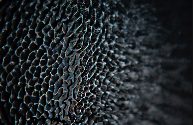 Screenshot 2025-12-26 at 9.58.34 AM.png