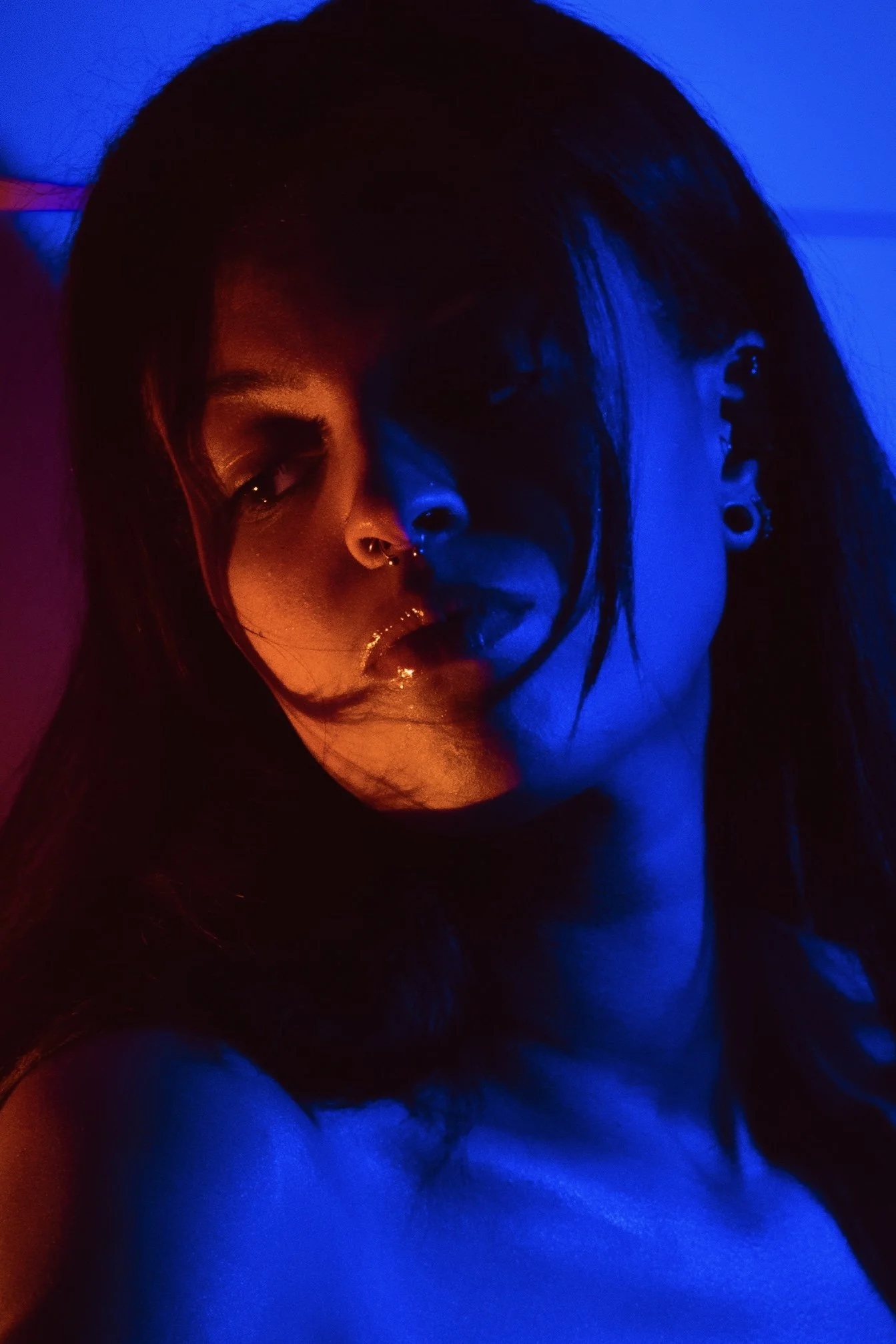 Self Portraits