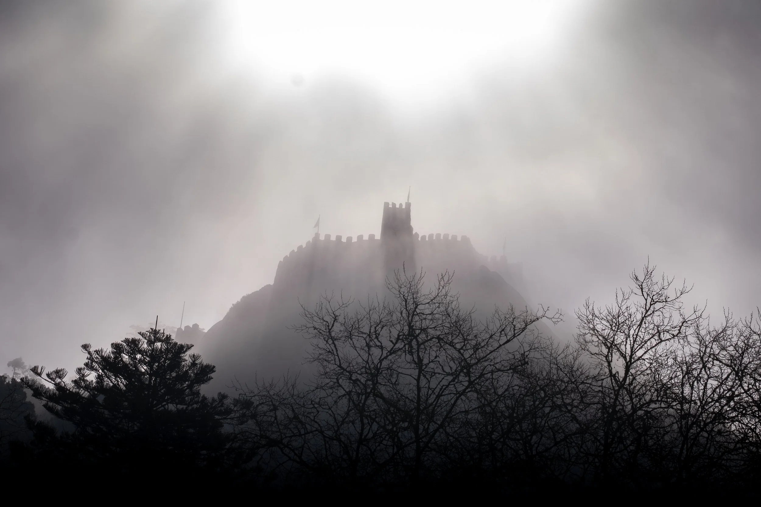 A foggy scene of a castle on a hilltop with trees in the foreground.
