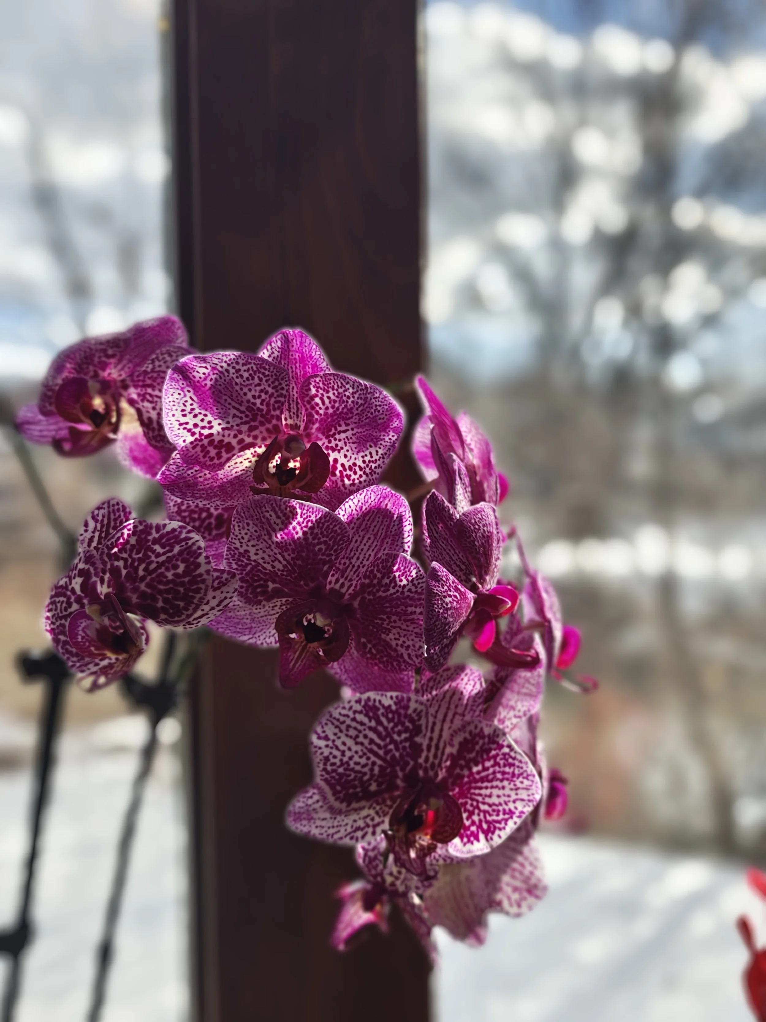 Solstice, Closure, and the Path Forward