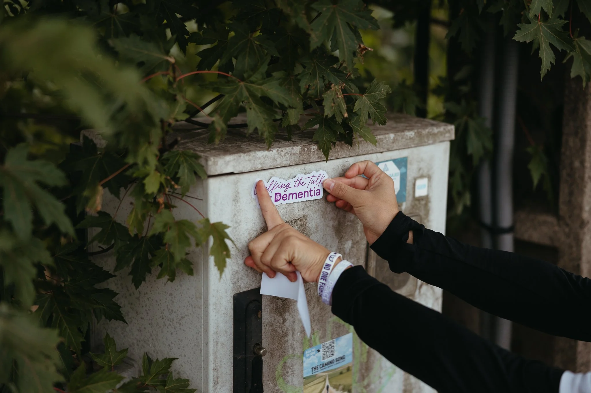 Person placing a sticker that reads 'Talking the Talk Dementia' on a mailbox surrounded by green leaves.
