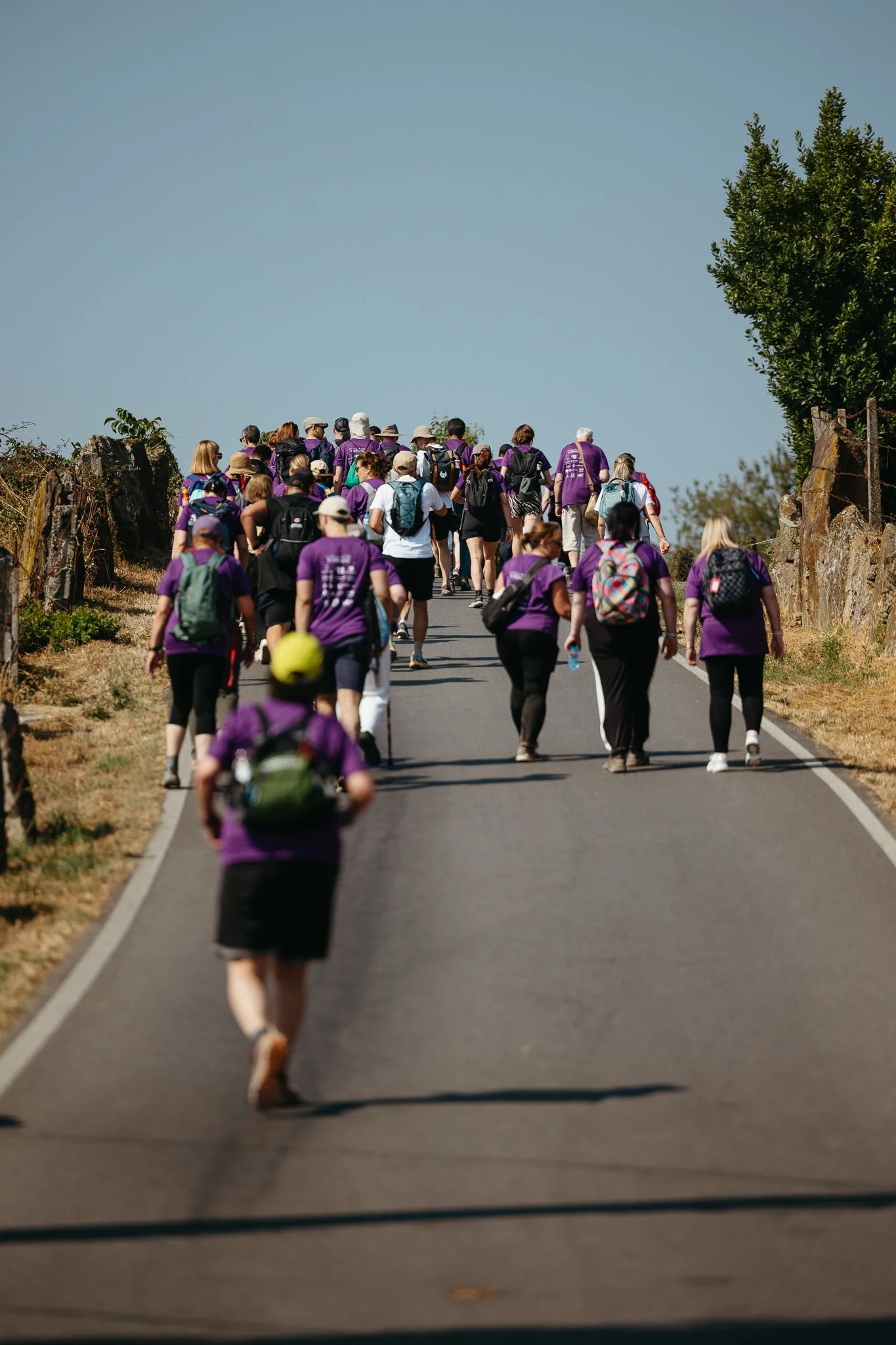 A group of people walking up a paved outdoor path on a sunny day, some carrying backpacks and wearing hats.