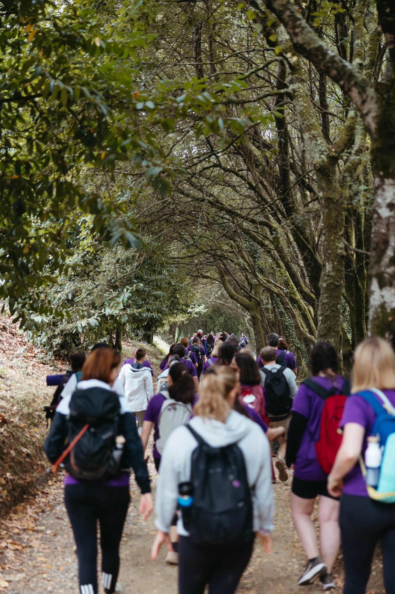 A group of people walking along a wooded trail surrounded by trees with lush green leaves.