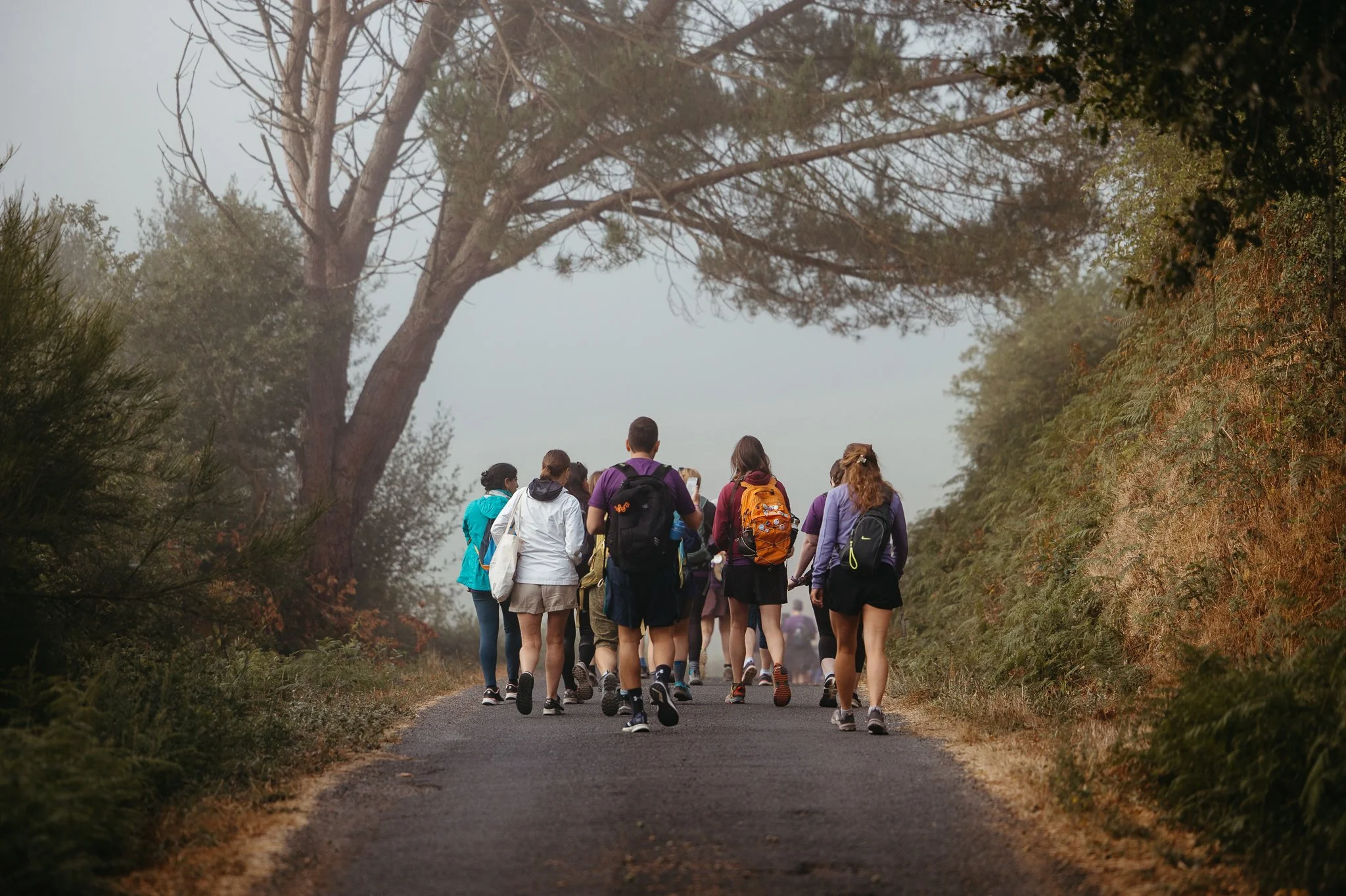 Group of people hiking on a forest trail with trees and bushes on both sides