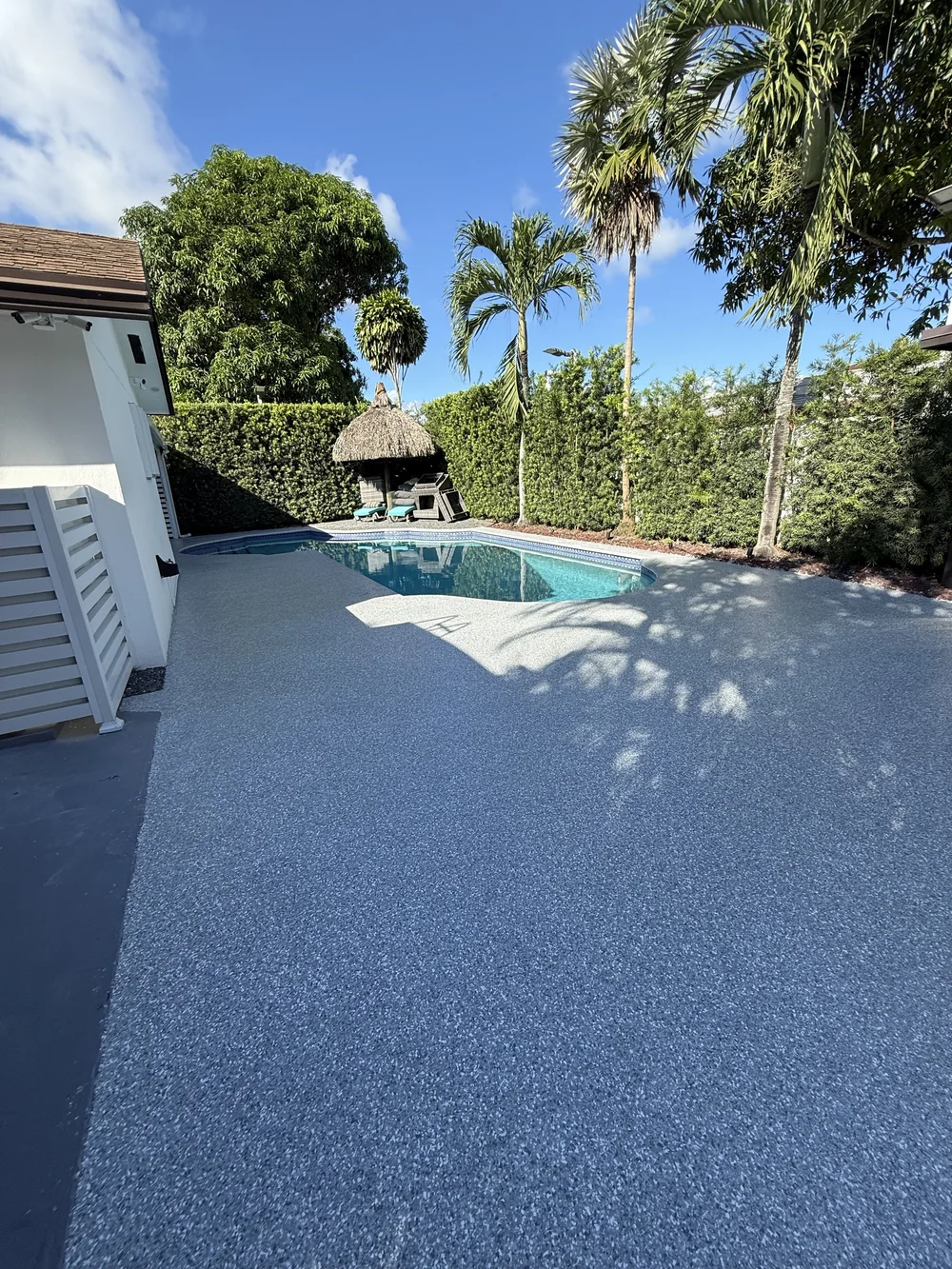 Coated pool deck with palm trees