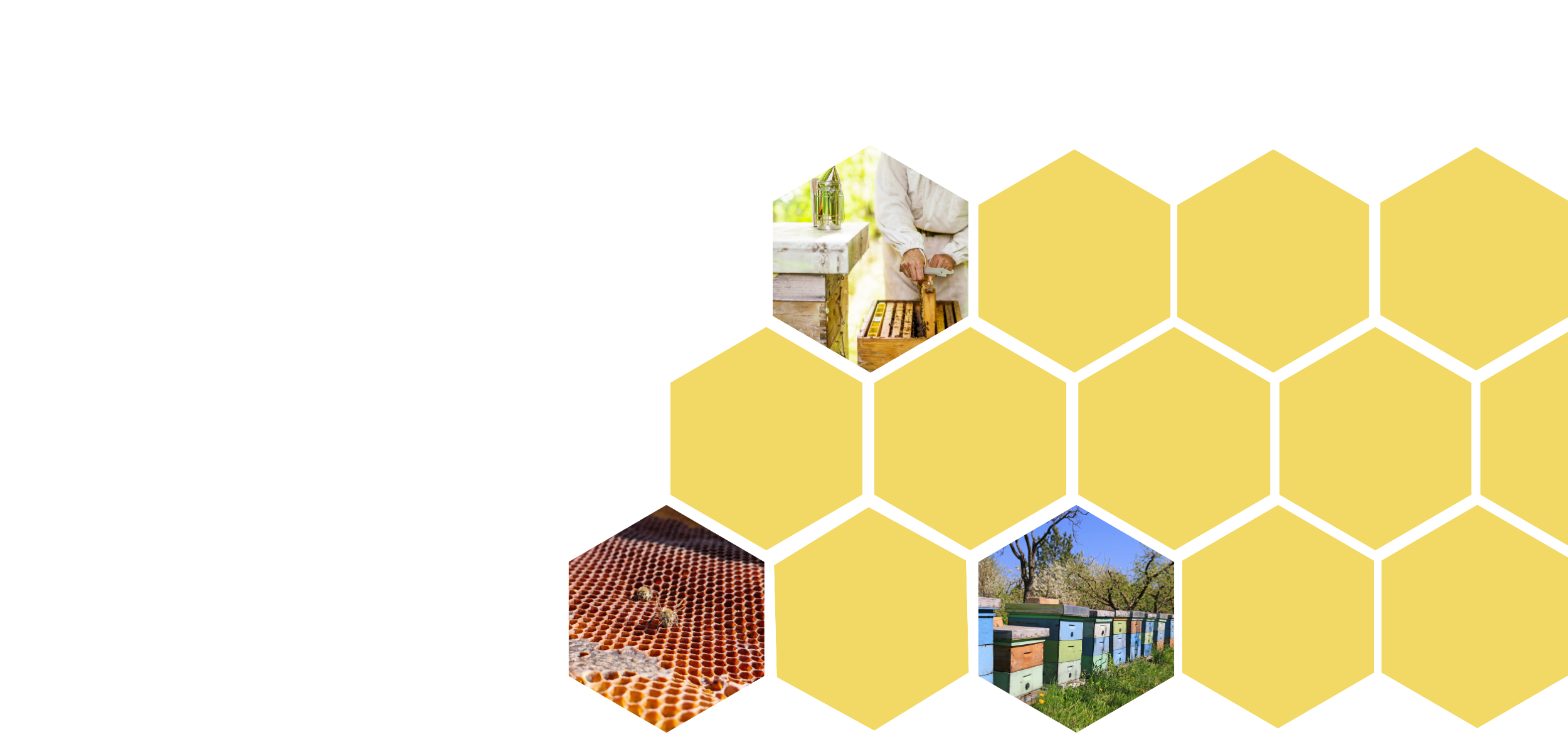 Honey extraction with big yellow hive shapes