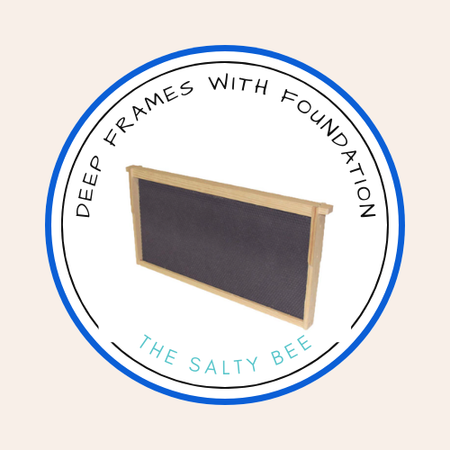 Deep Frames with Foundation