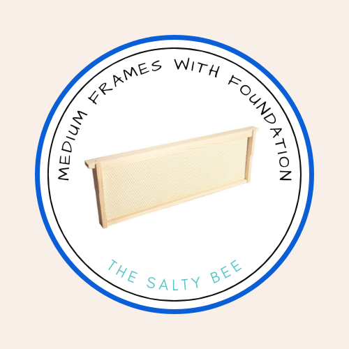 Medium Frames with Foundation