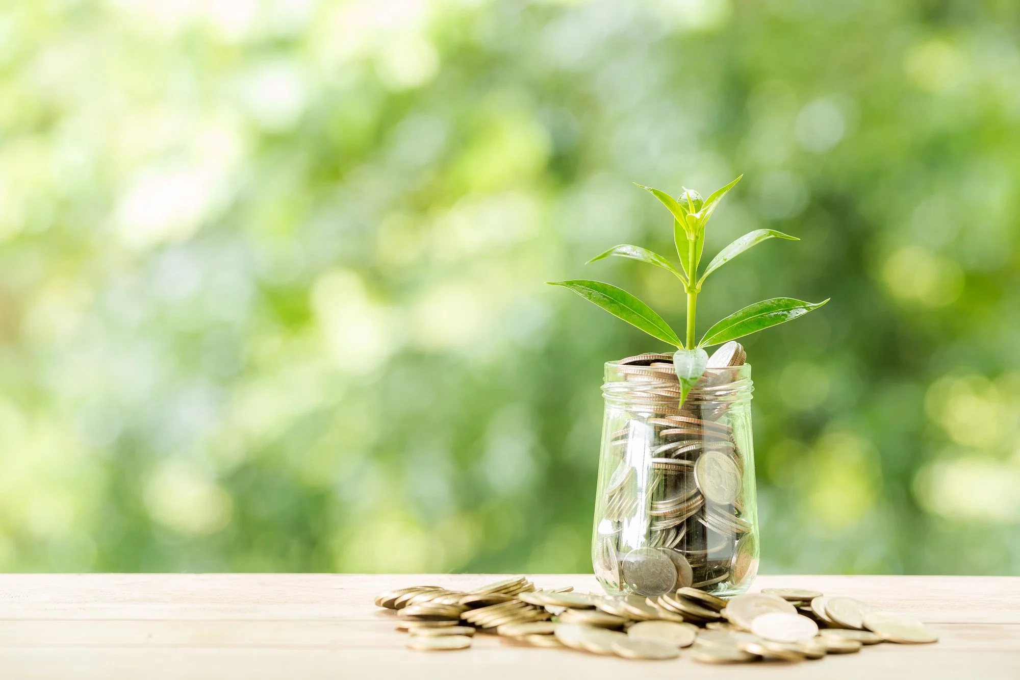 A glass jar filled with coins, with a green plant growing from the coins, on a wooden surface with some coins scattered around, and a blurred green background.