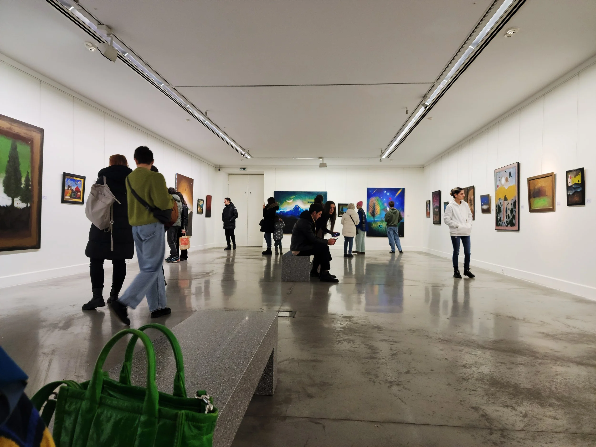 Exhibition "Seen At The Bridge", Anton Balanchivadze, People viewing various paintings and artworks in national gallery, museum with white walls and polished concrete floors.