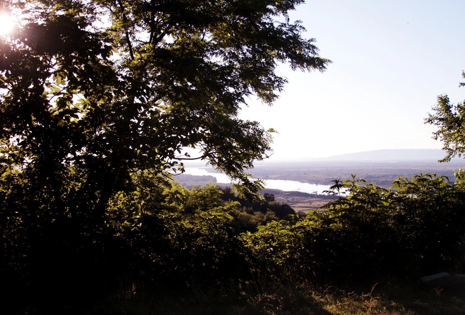 Delta Of Rioni River