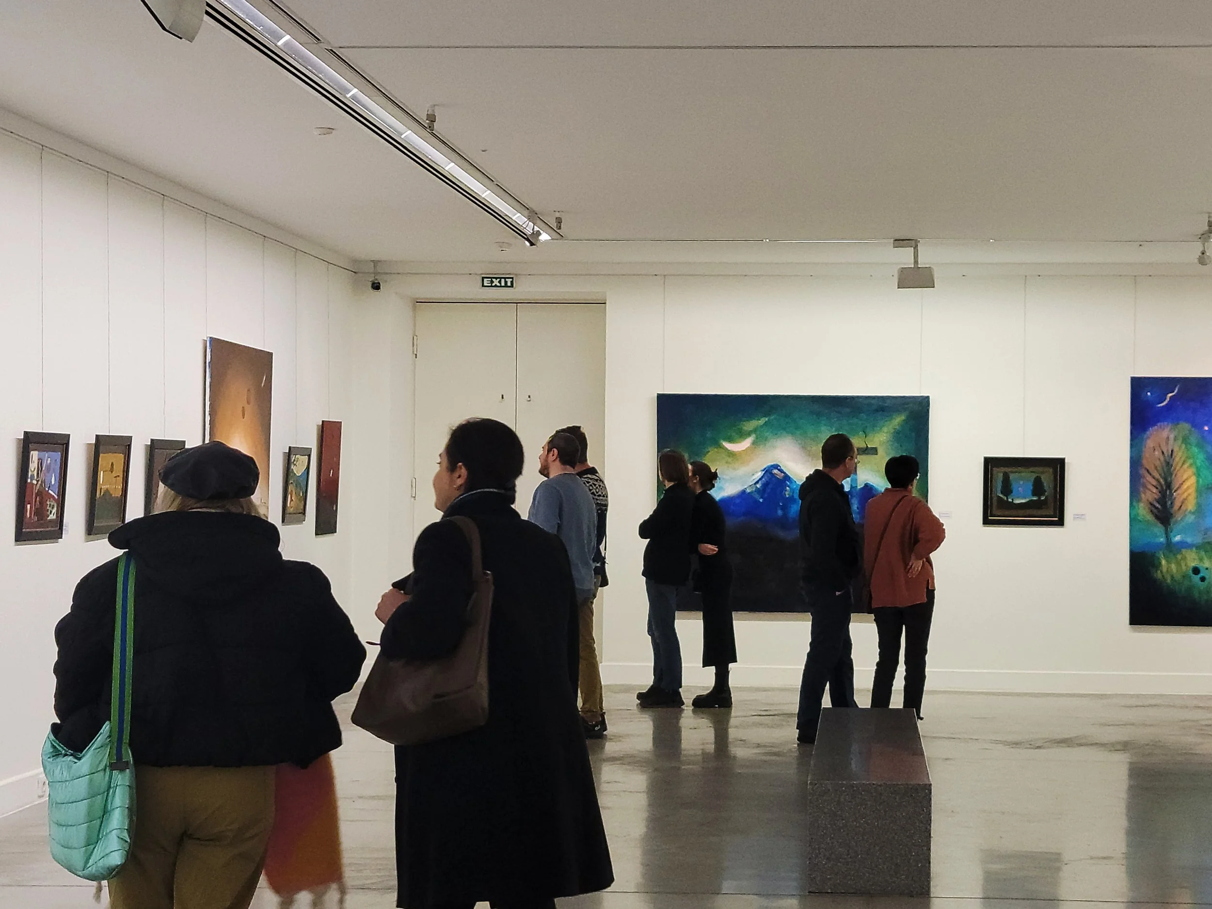 Anton Balanchivadze , Exhibition, National Gallery, People viewing artwork in an art gallery with white walls and framed paintings, including landscapes and abstract pieces.
