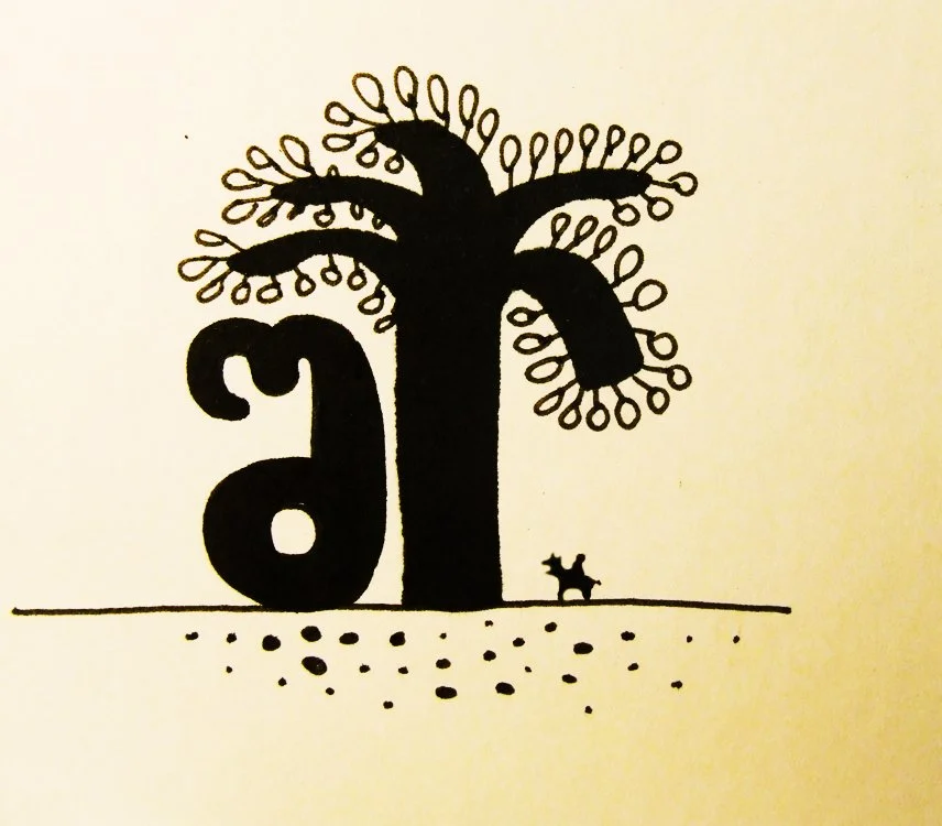 Sh s bolos an gaformeba an saertod araa sachiro.jpg