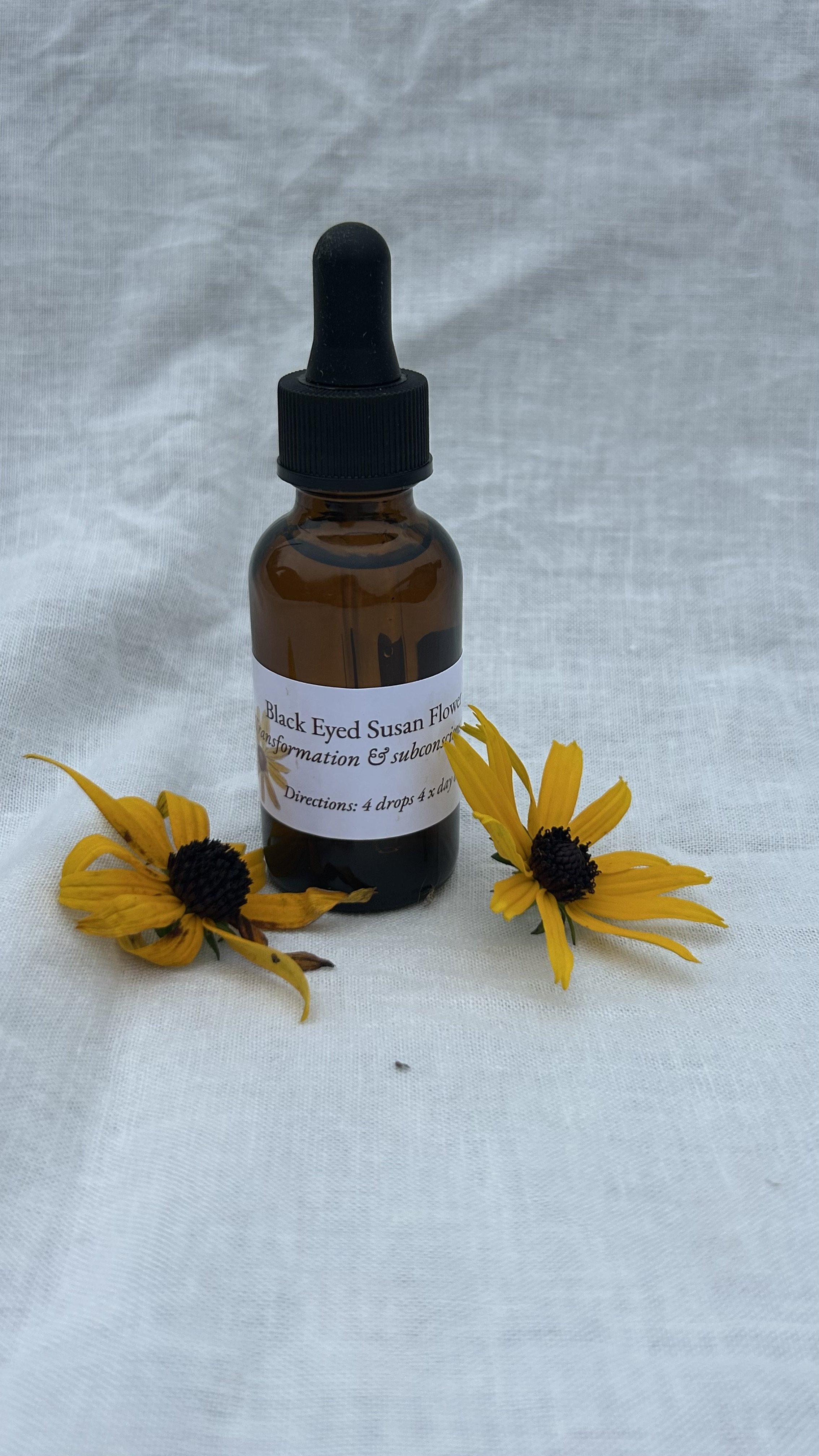 Black Eyed Susan HEALING/TRANSFORMATION