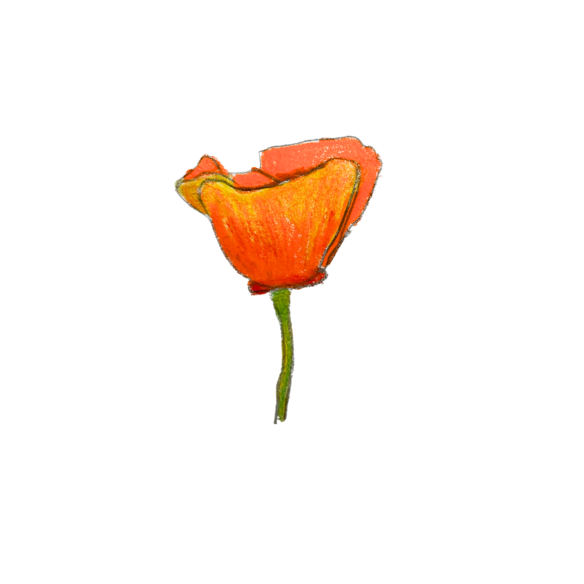 Untitled design (7).png
