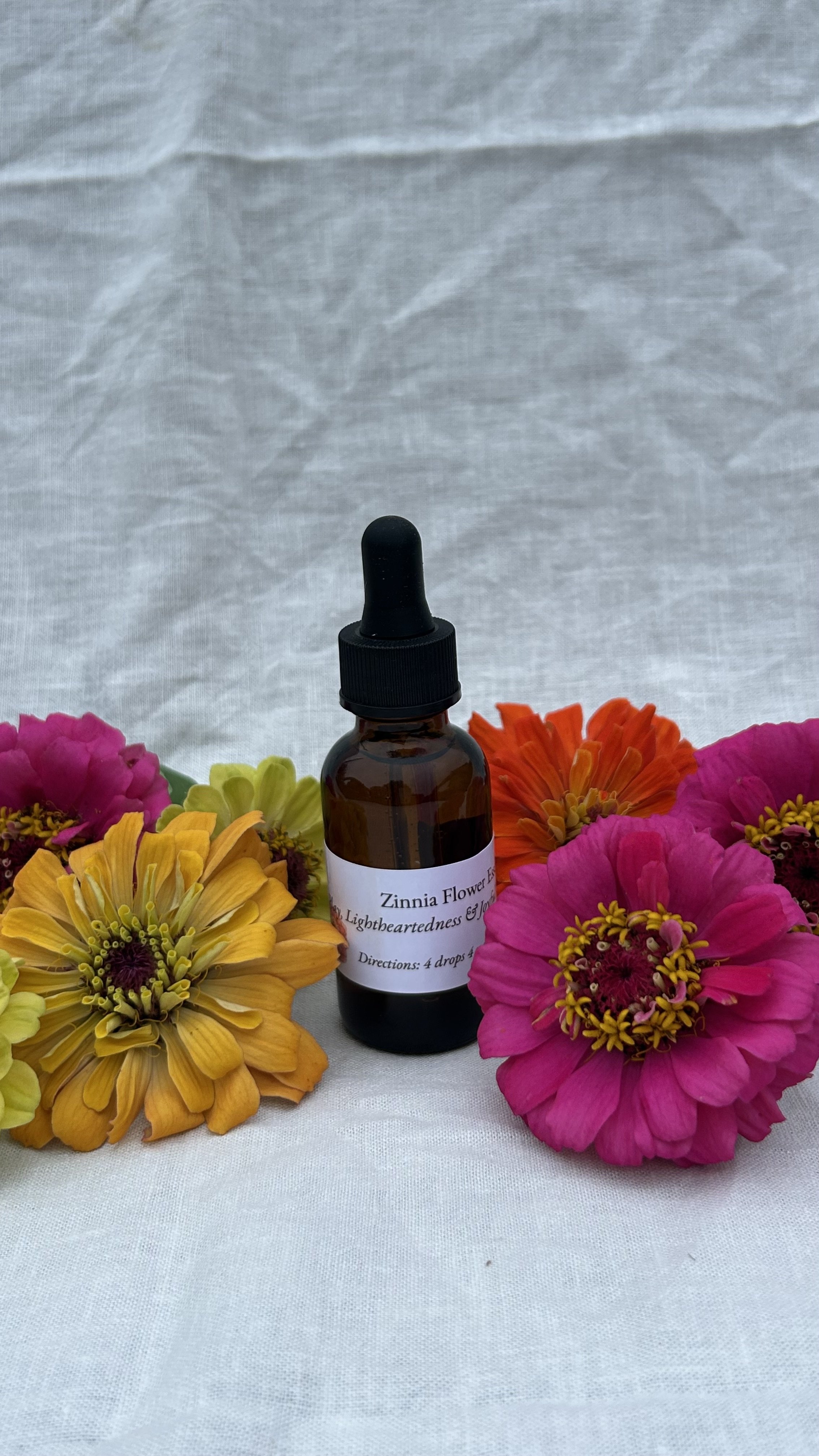 Zinnia JOYFUL PLAY