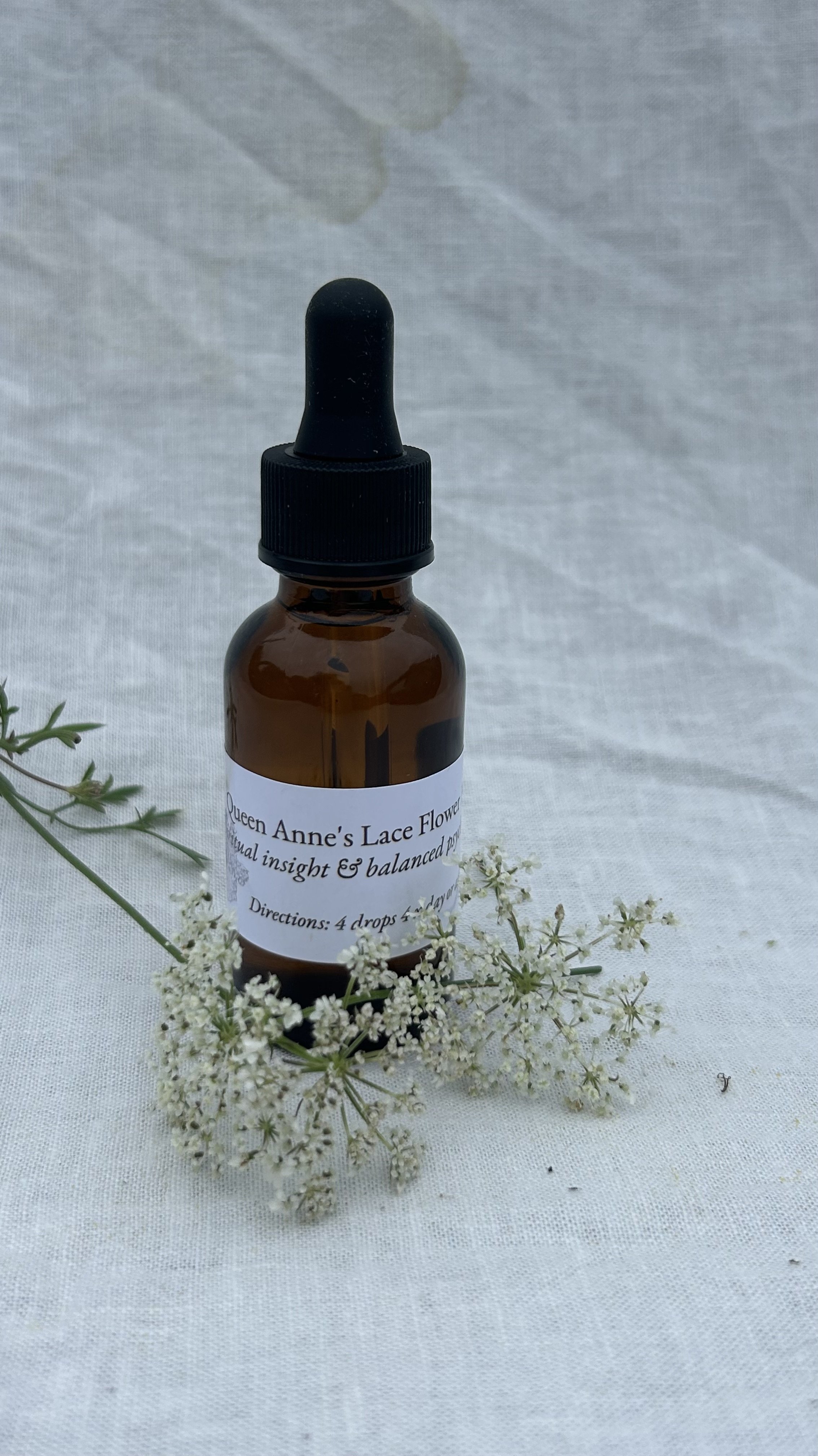 Queen Anne's Lace SPIRITUAL VISION