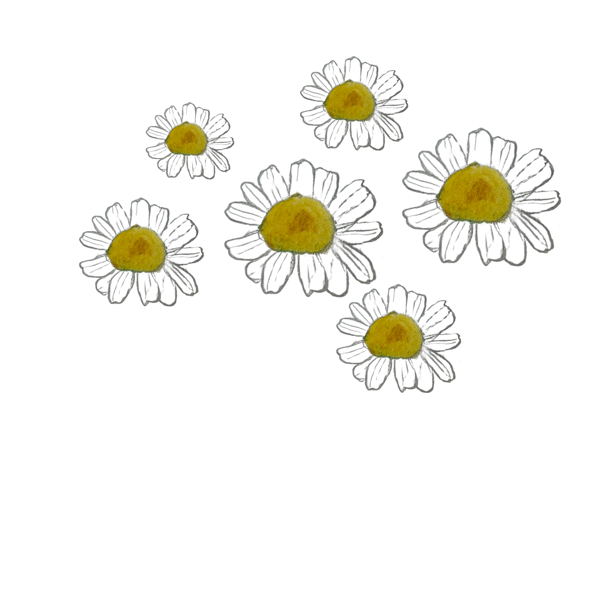 Untitled design (6).png