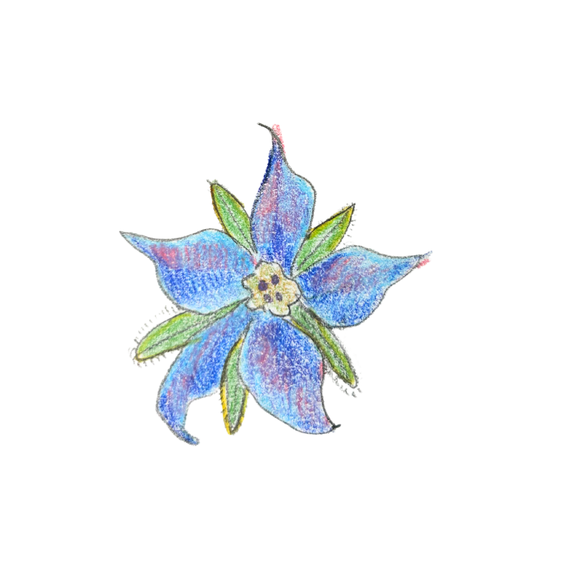 Untitled design (2).png