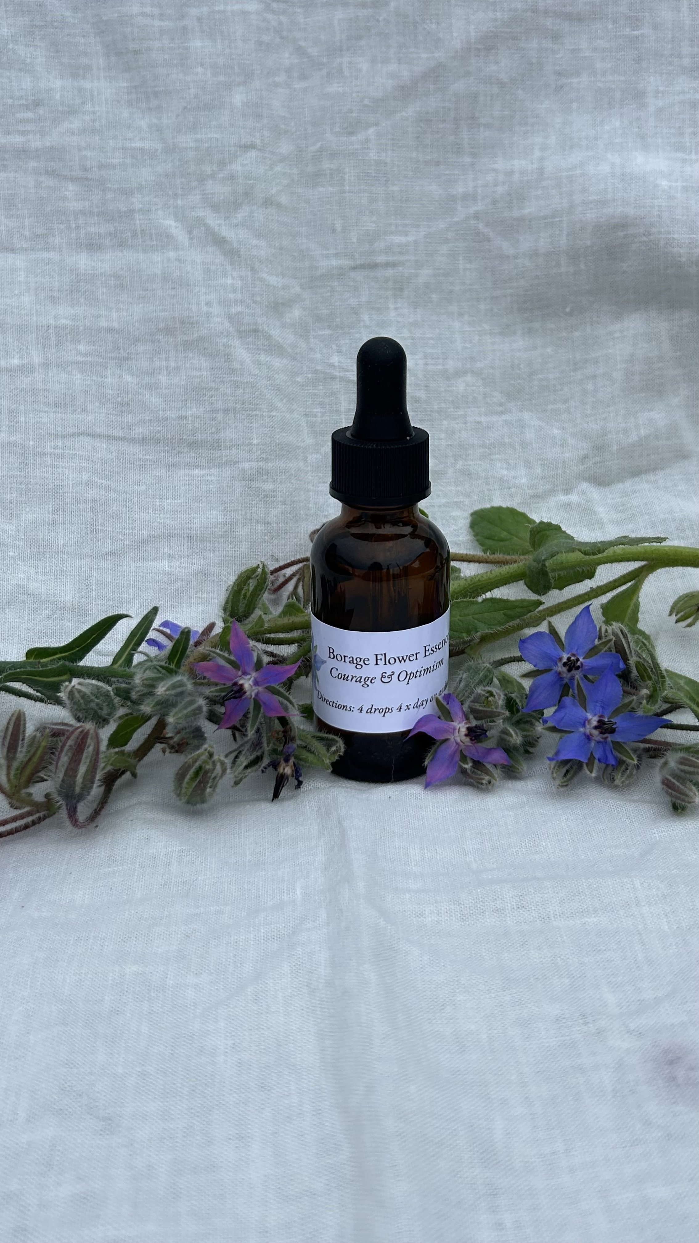 Borage COURAGE + OPTIMISM