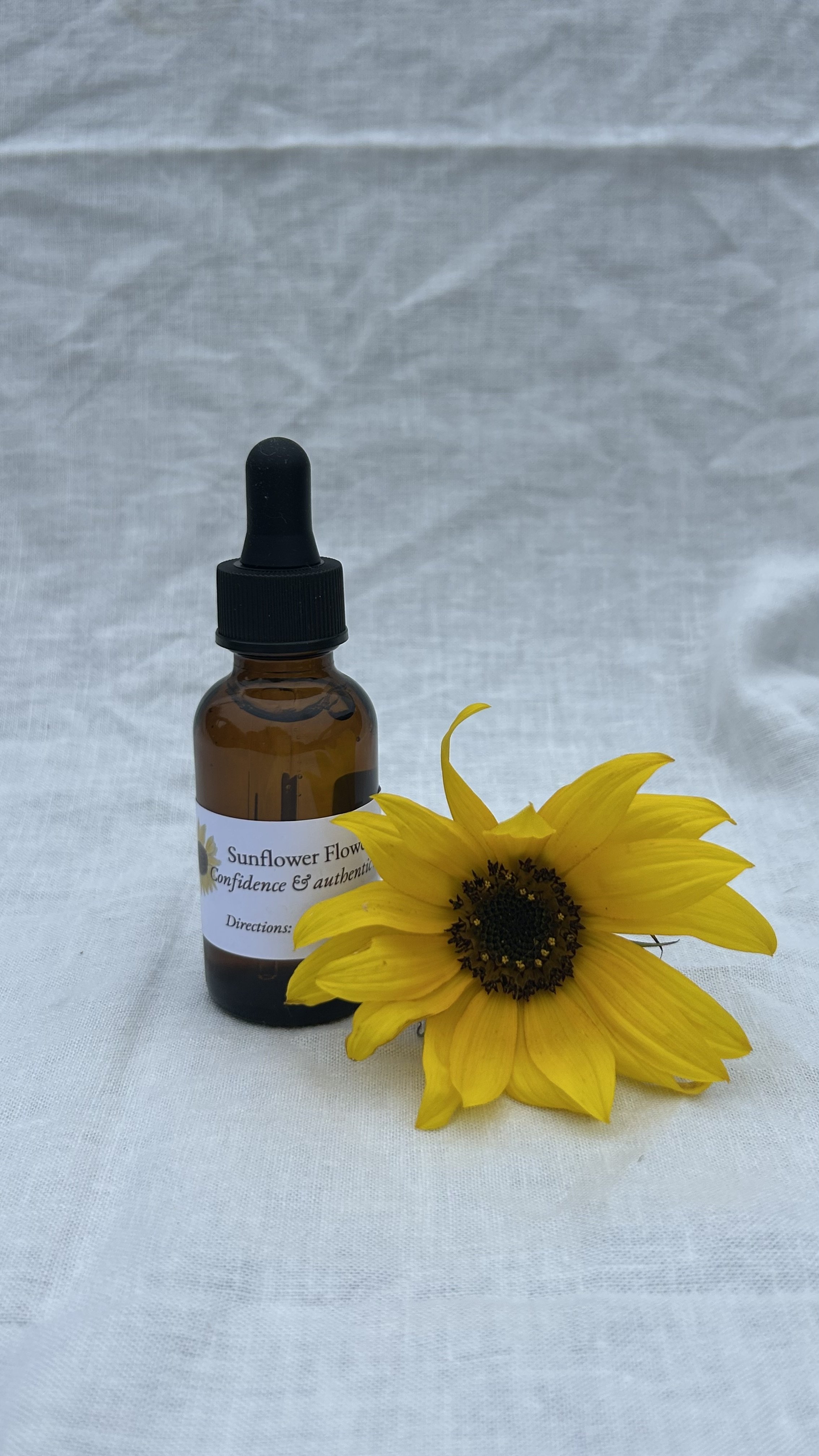 Sunflower RADIANT CONFIDENCE