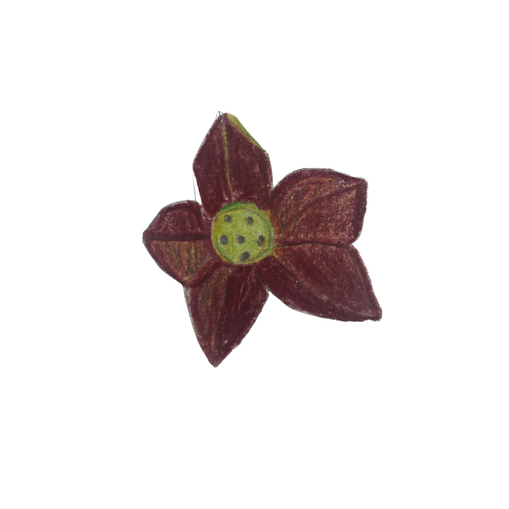 Untitled design (3).png