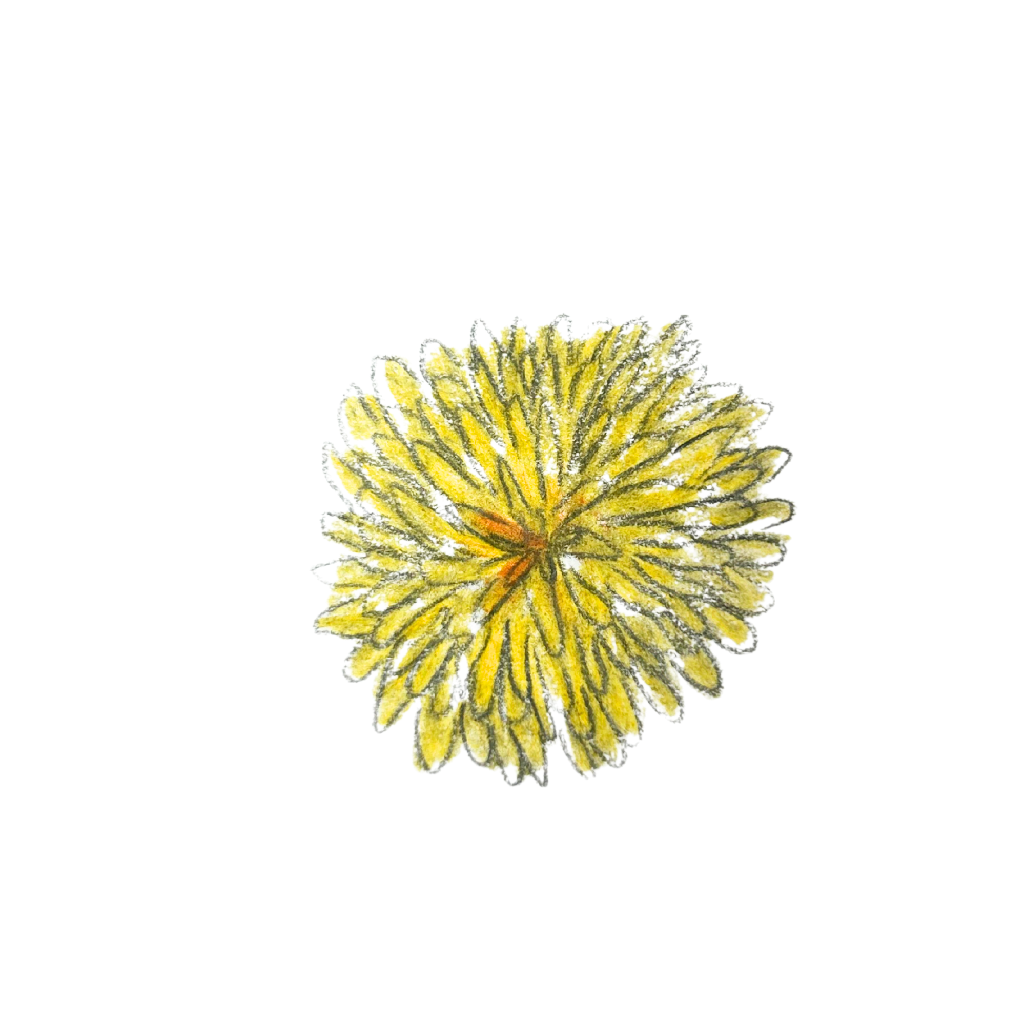 Untitled design (8).png
