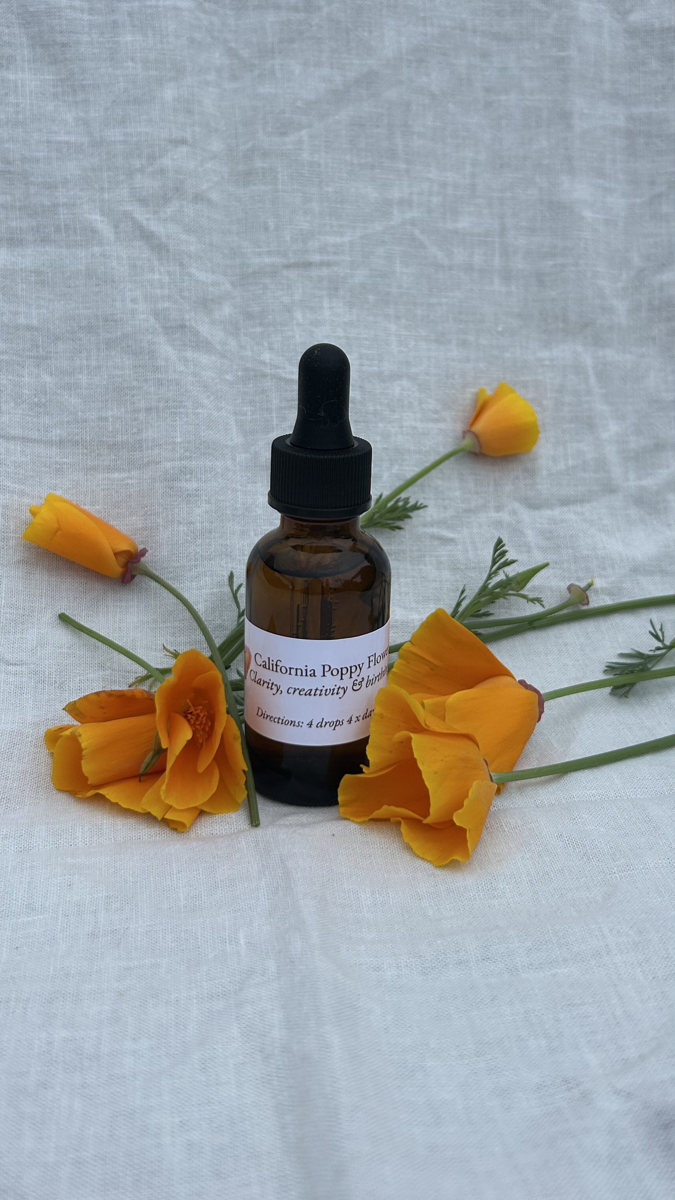 California Poppy CLARITY TO CREATIVITY