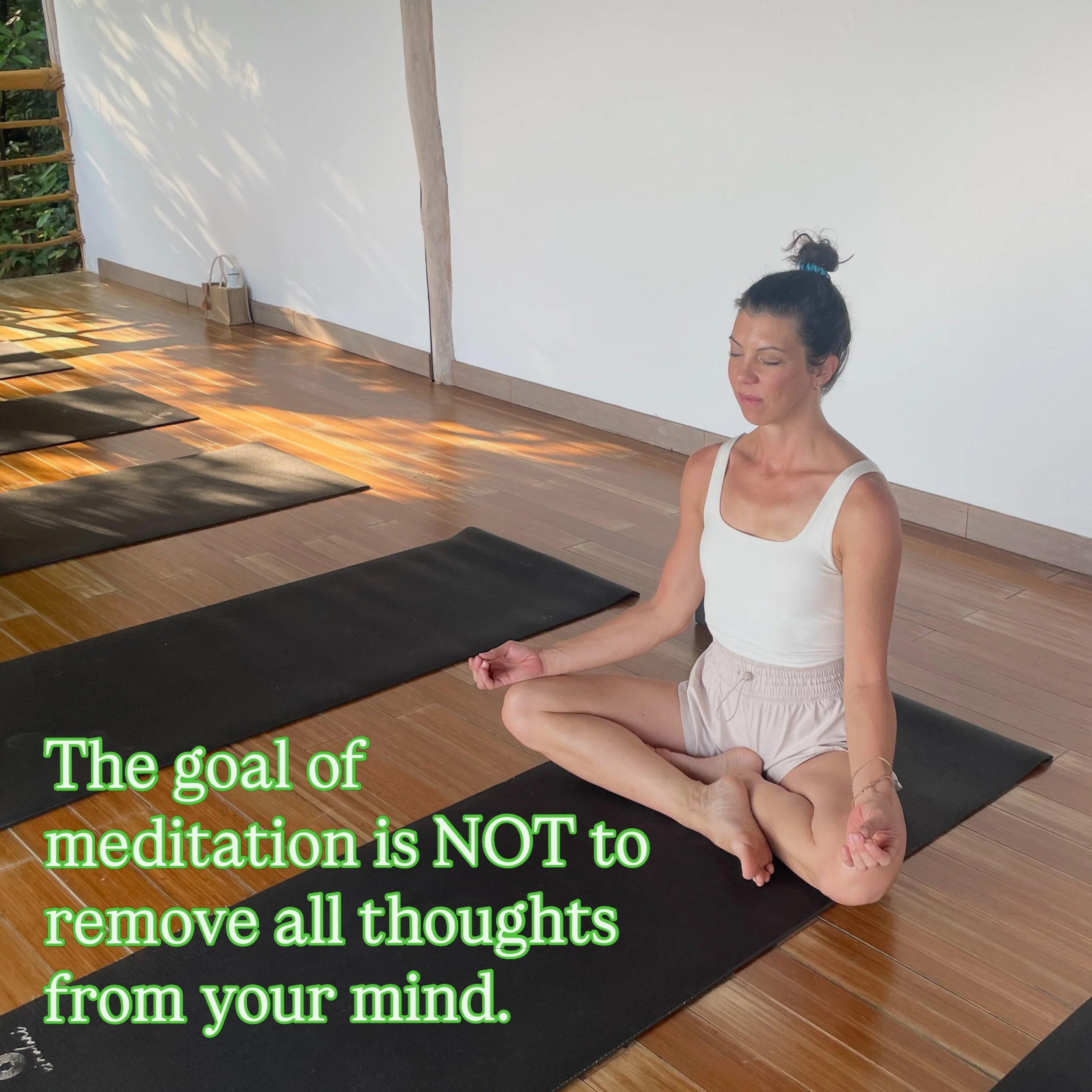 People think the goal of meditation is to remove all thoughts from your mind