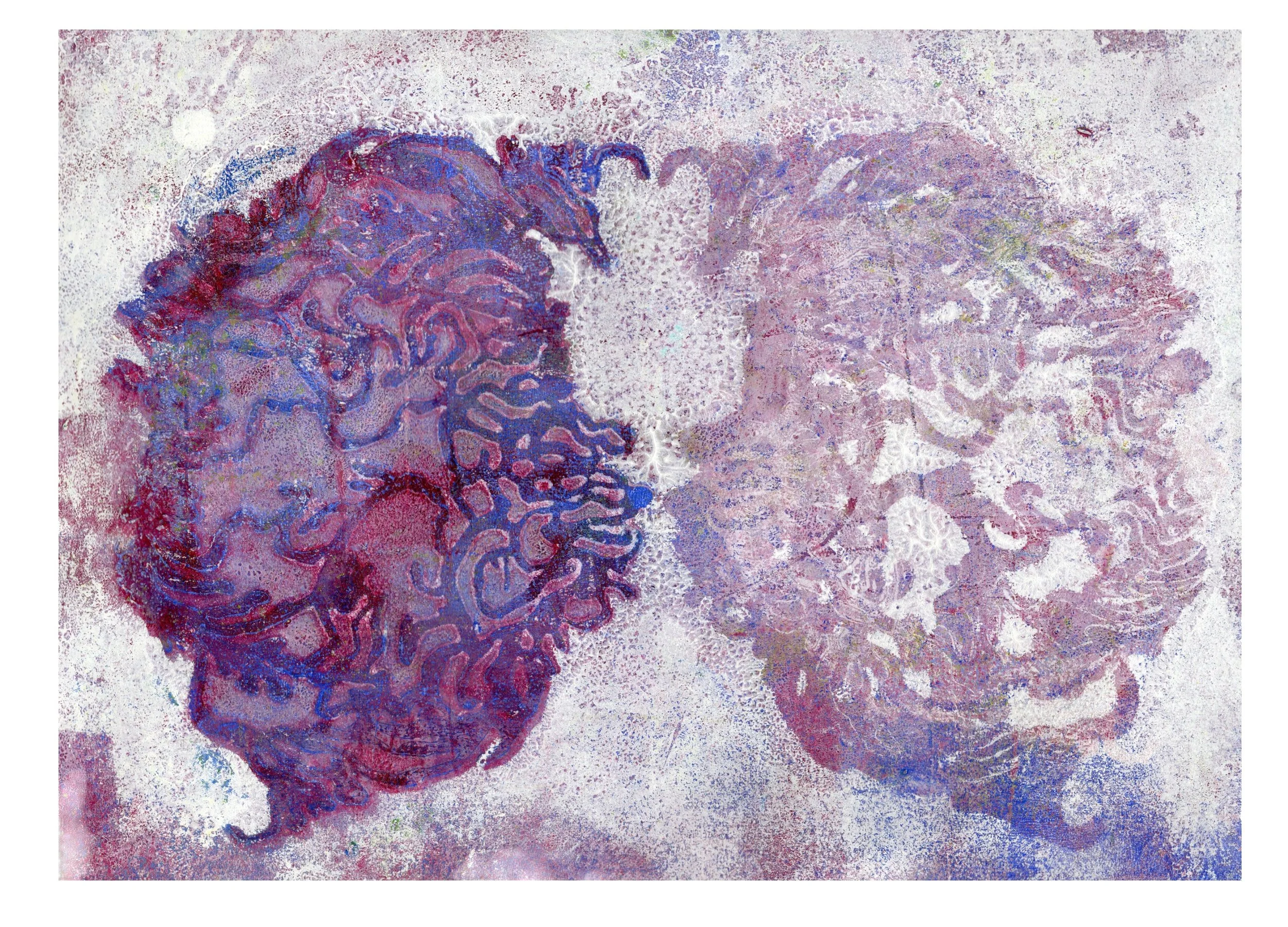 transparent-Photoroom (1).jpg