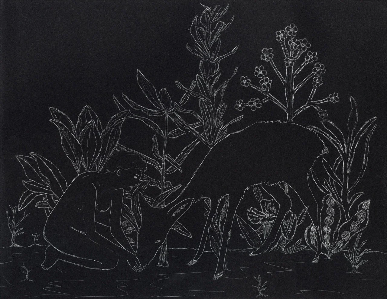 img20240729_10124535 copy Large.jpeg