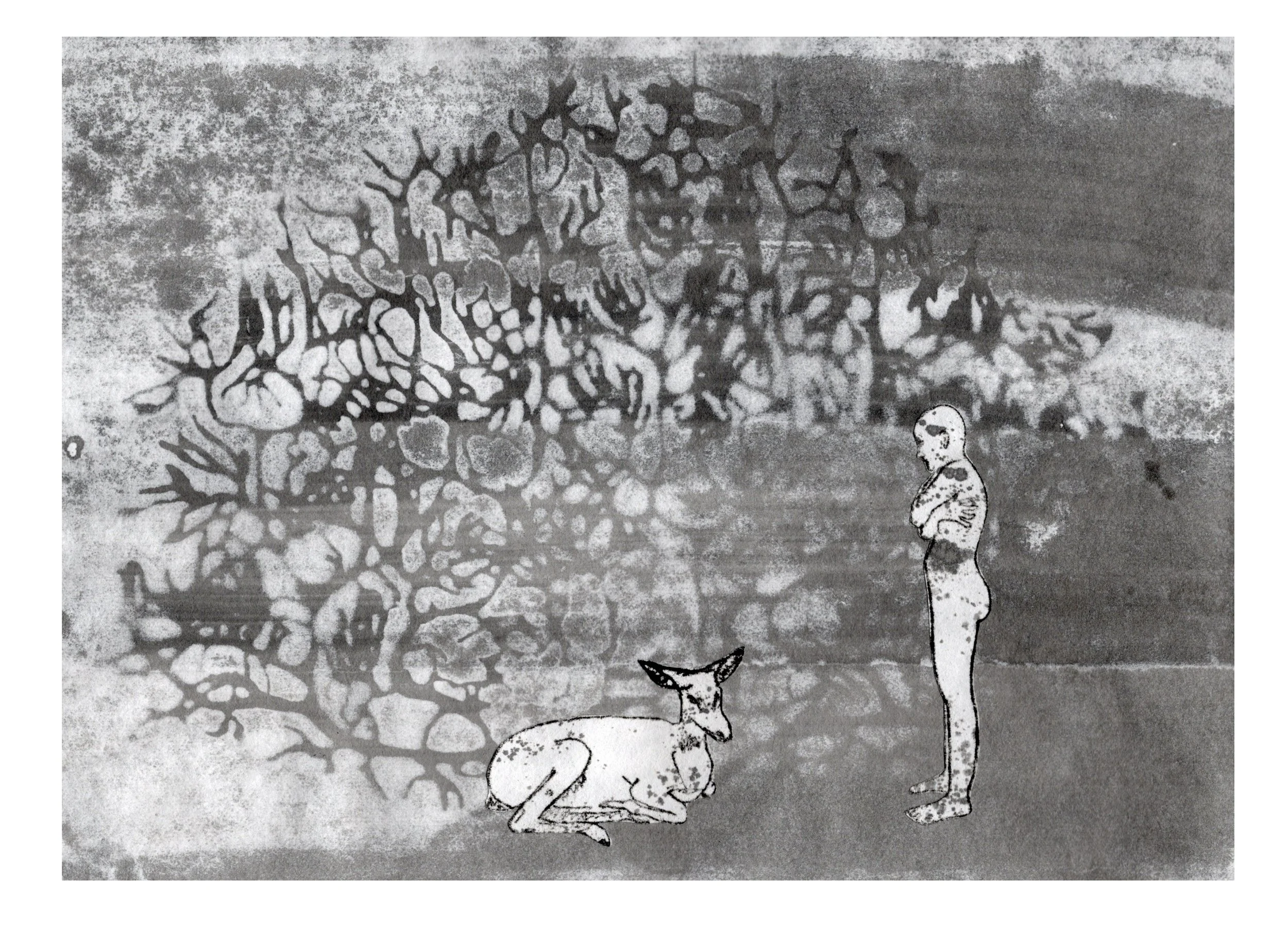 transparent-Photoroom (1).jpg