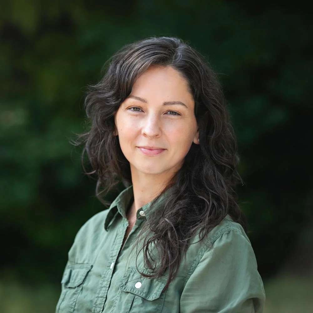 Close-up of sand dunes with a shadow cast on the sand.