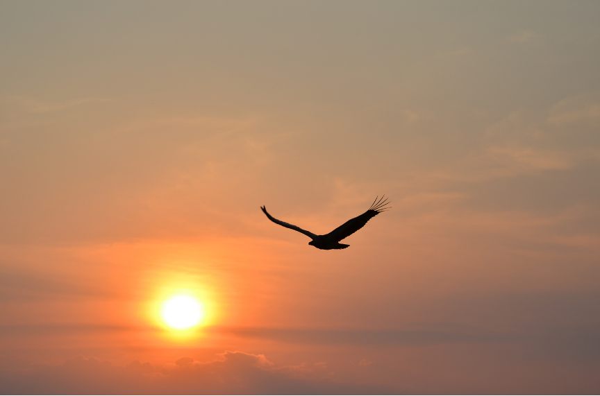 Ready…set…launch…SOAR
