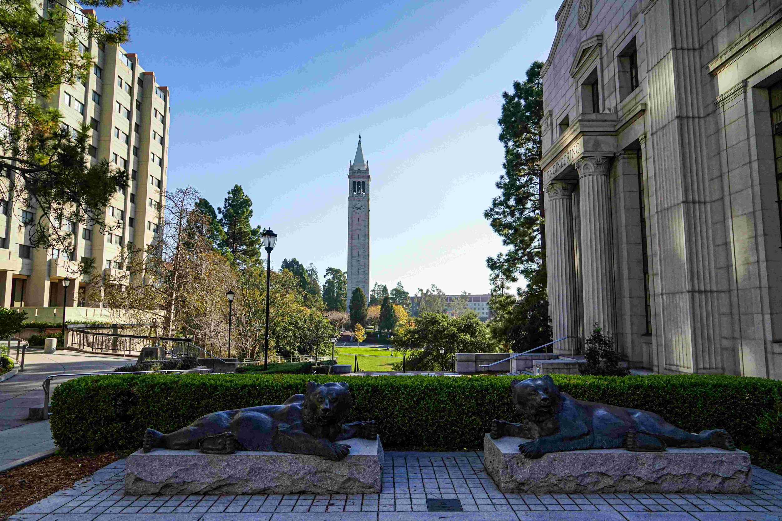 A university campus with two reclining lion statues in the foreground, a garden and pathways, a tall clock tower in the background, and various buildings including one with columns on the right.