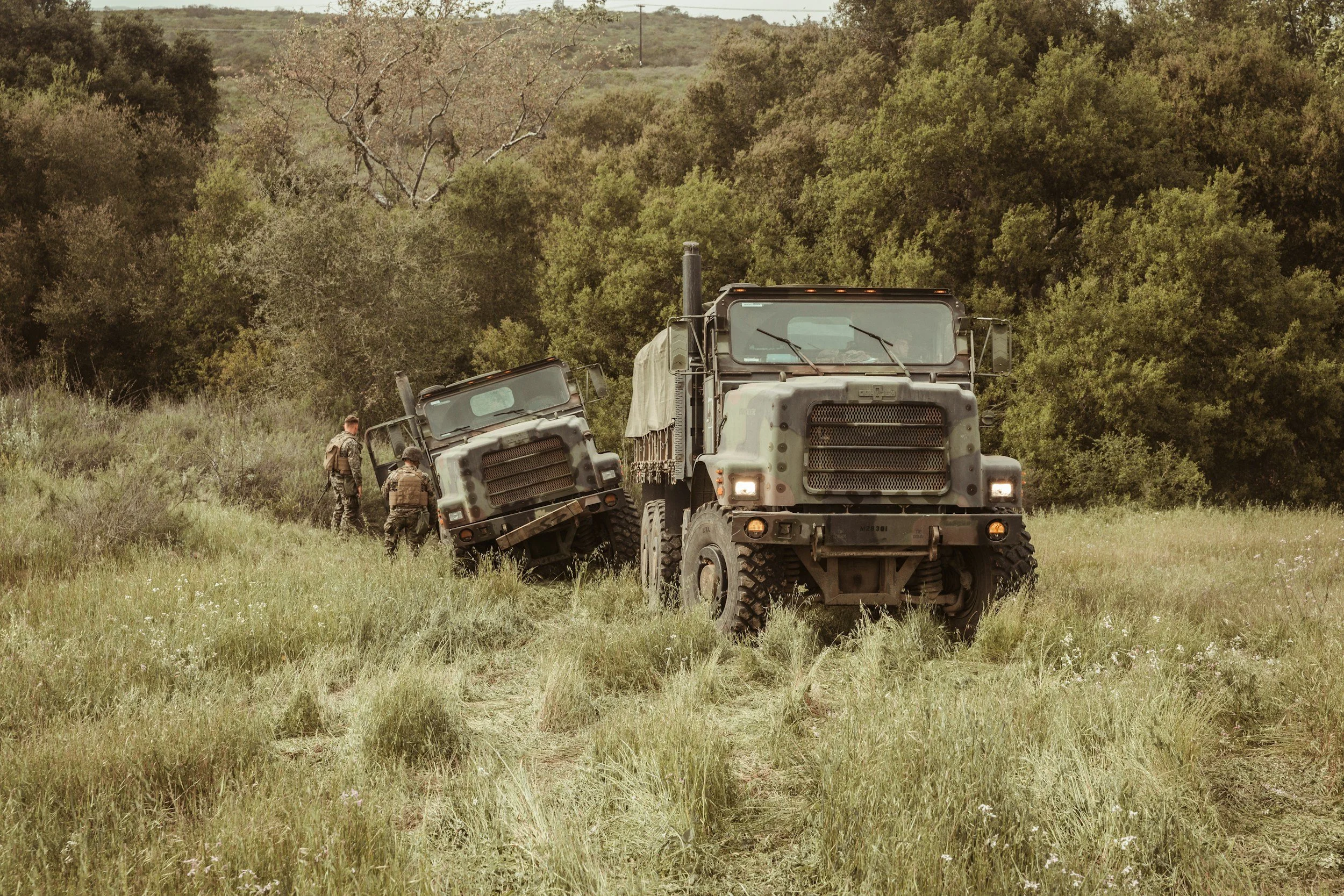 Two large military trucks in a grassy field surrounded by trees.