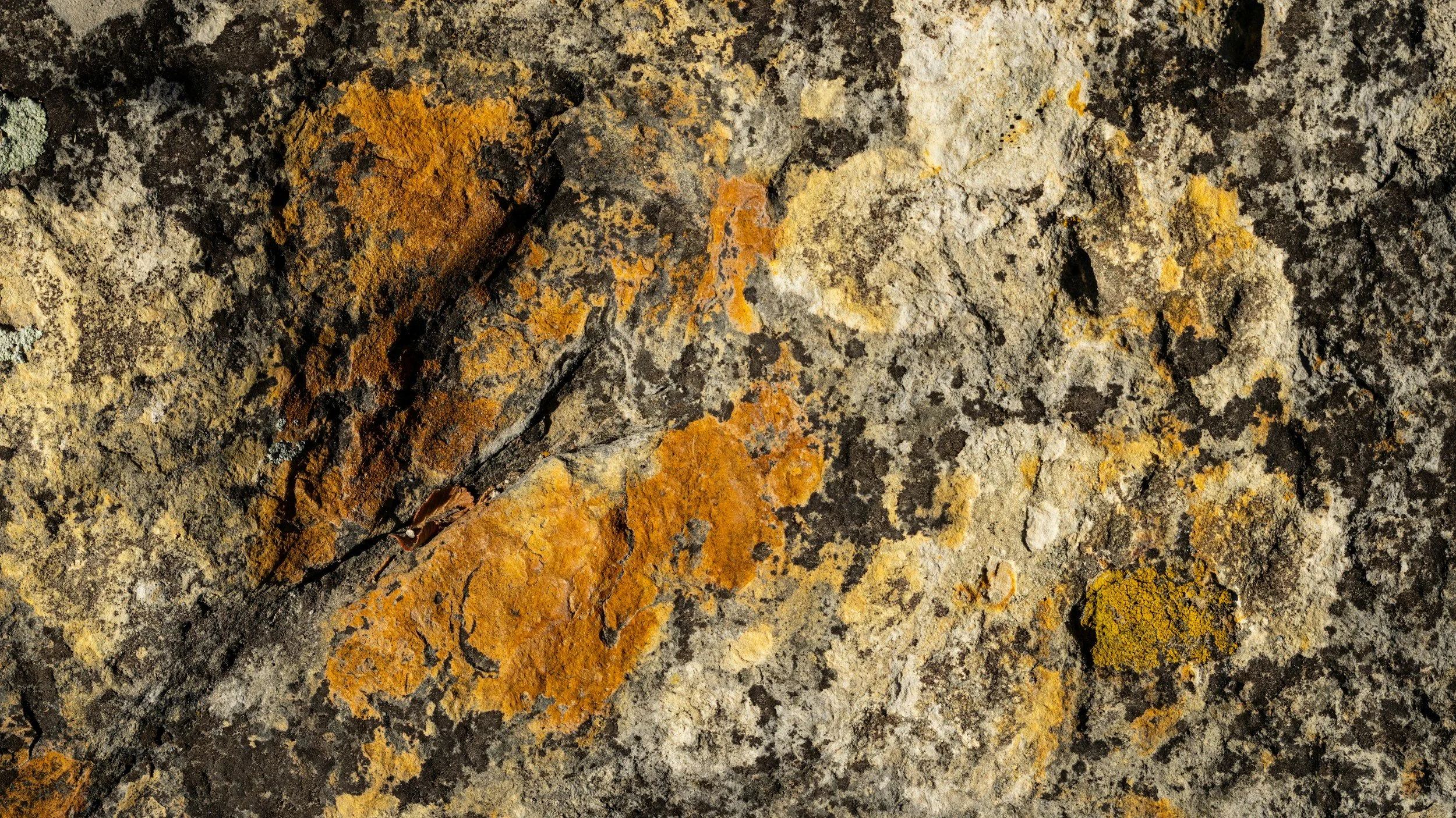 Close-up of a rock surface with patches of yellow, orange, and green lichen growth.